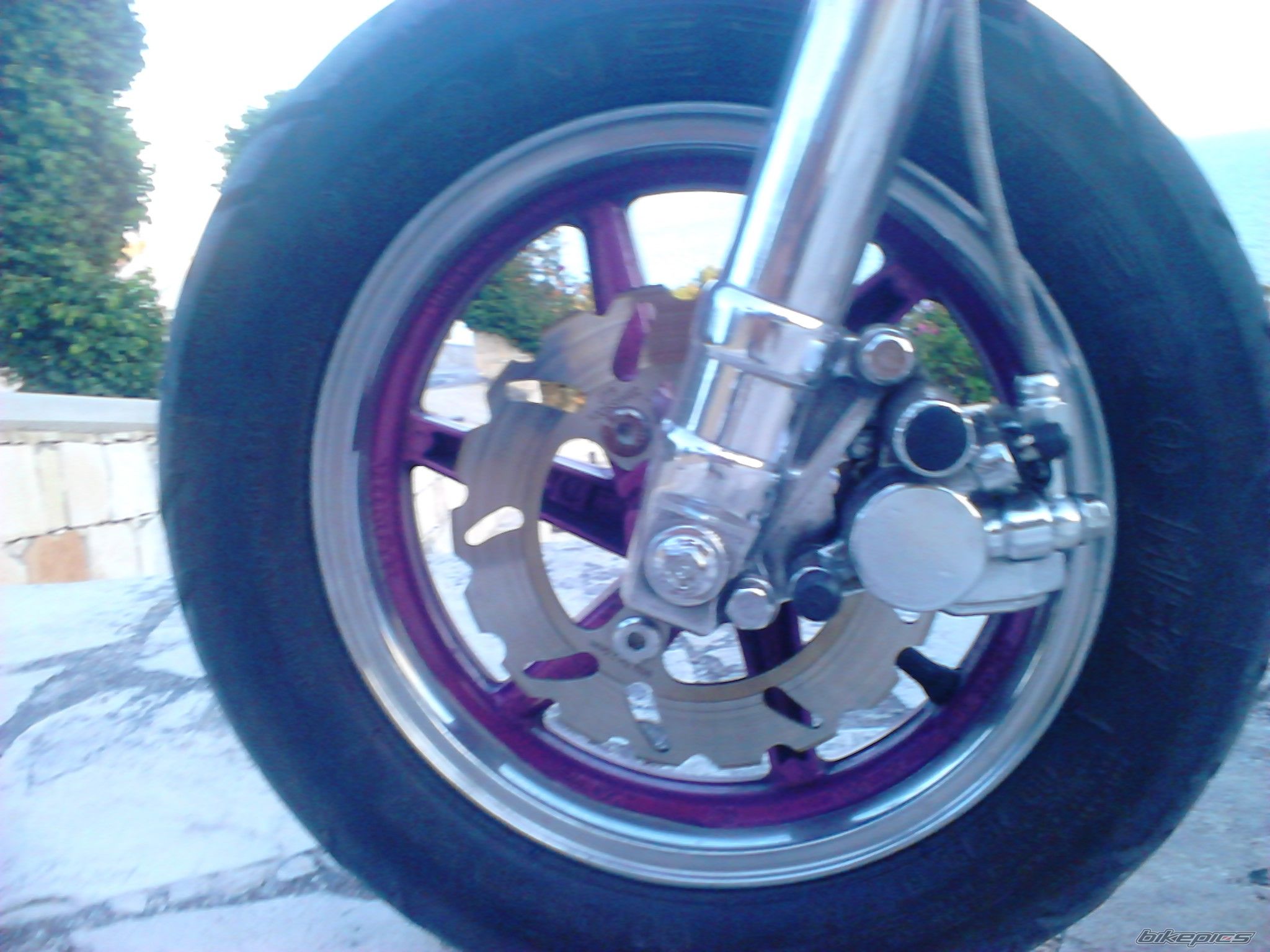 Photo 2582939