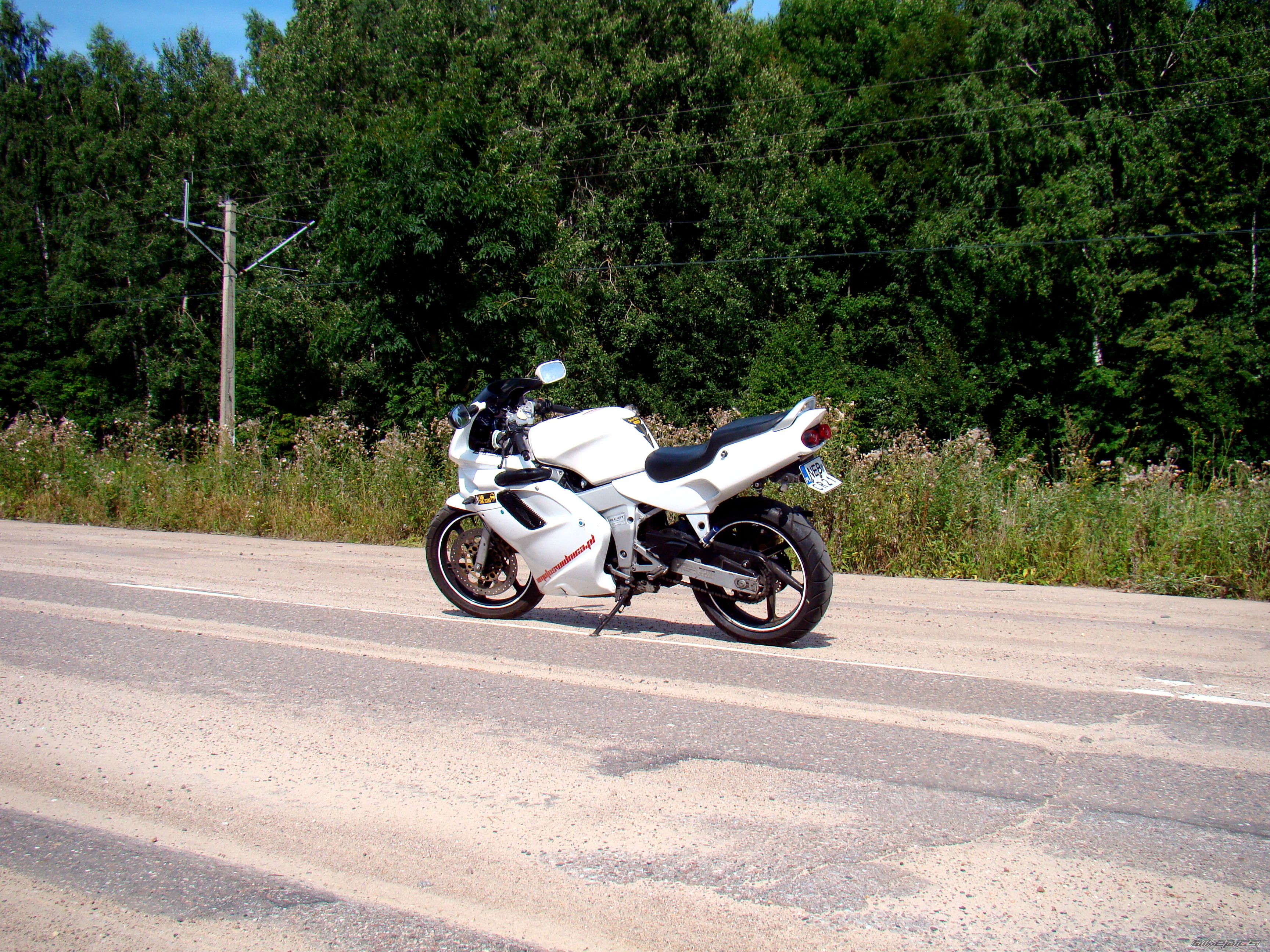 Photo 2582941