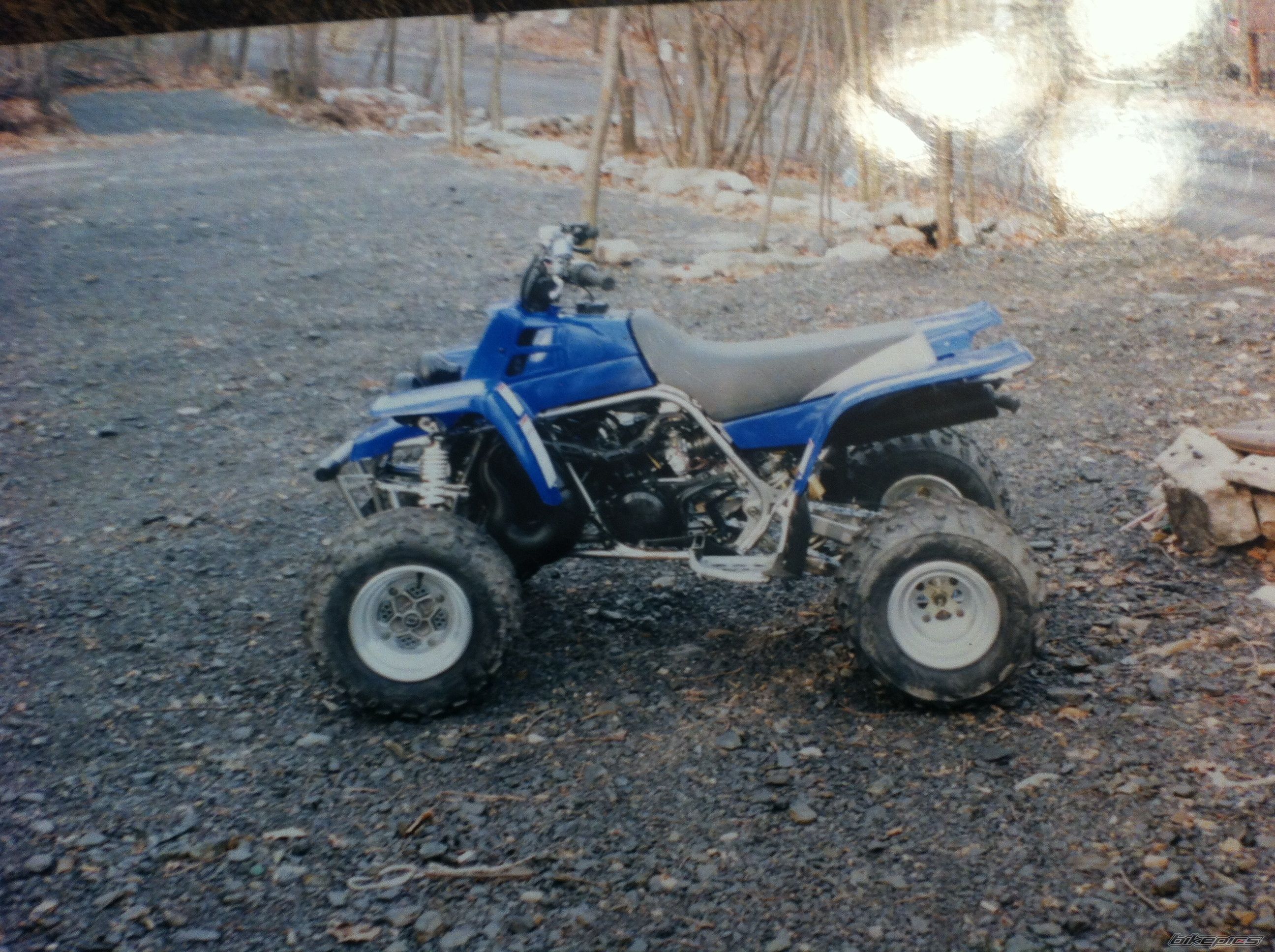 Photo 2582942