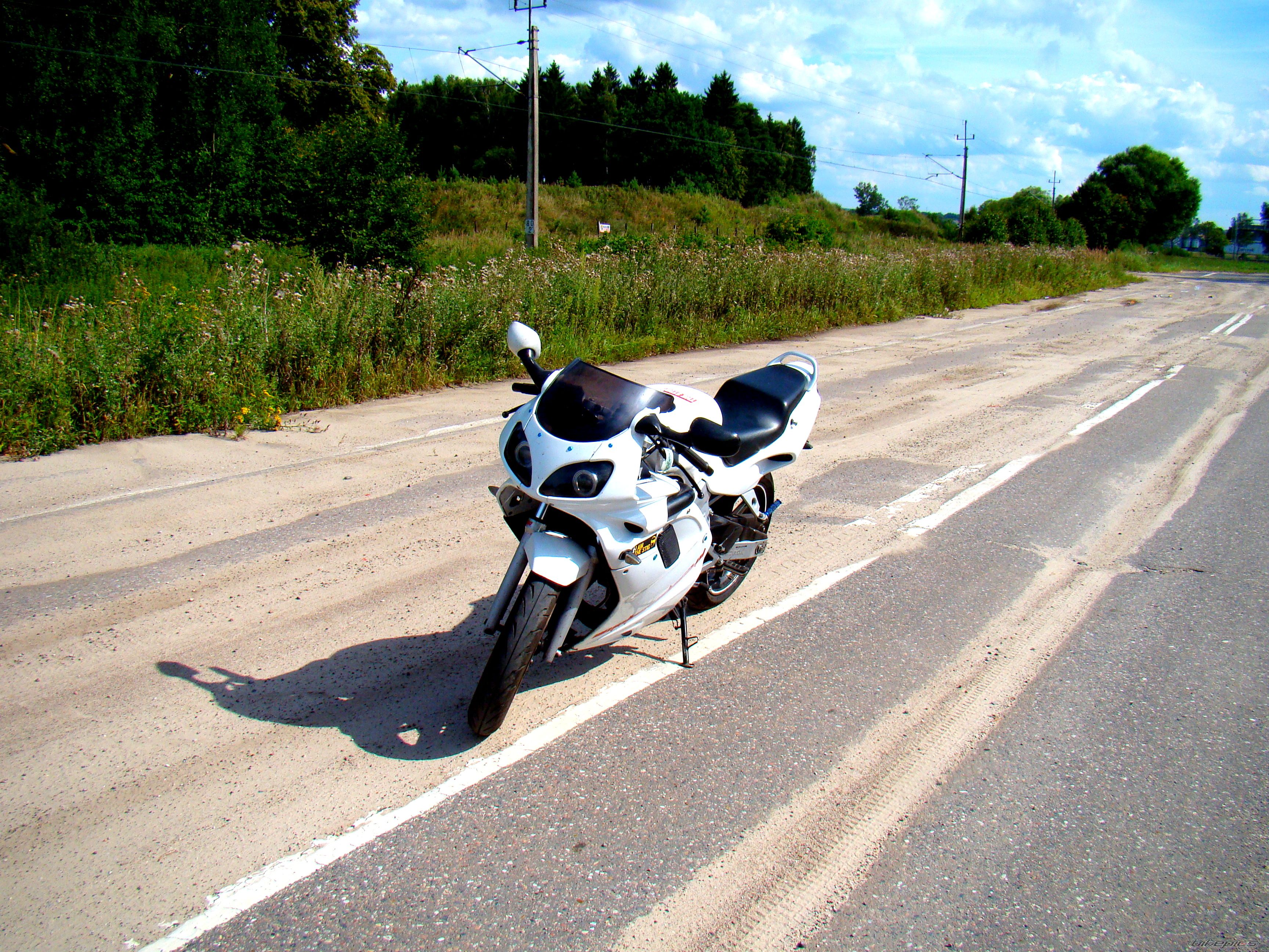 Photo 2582949