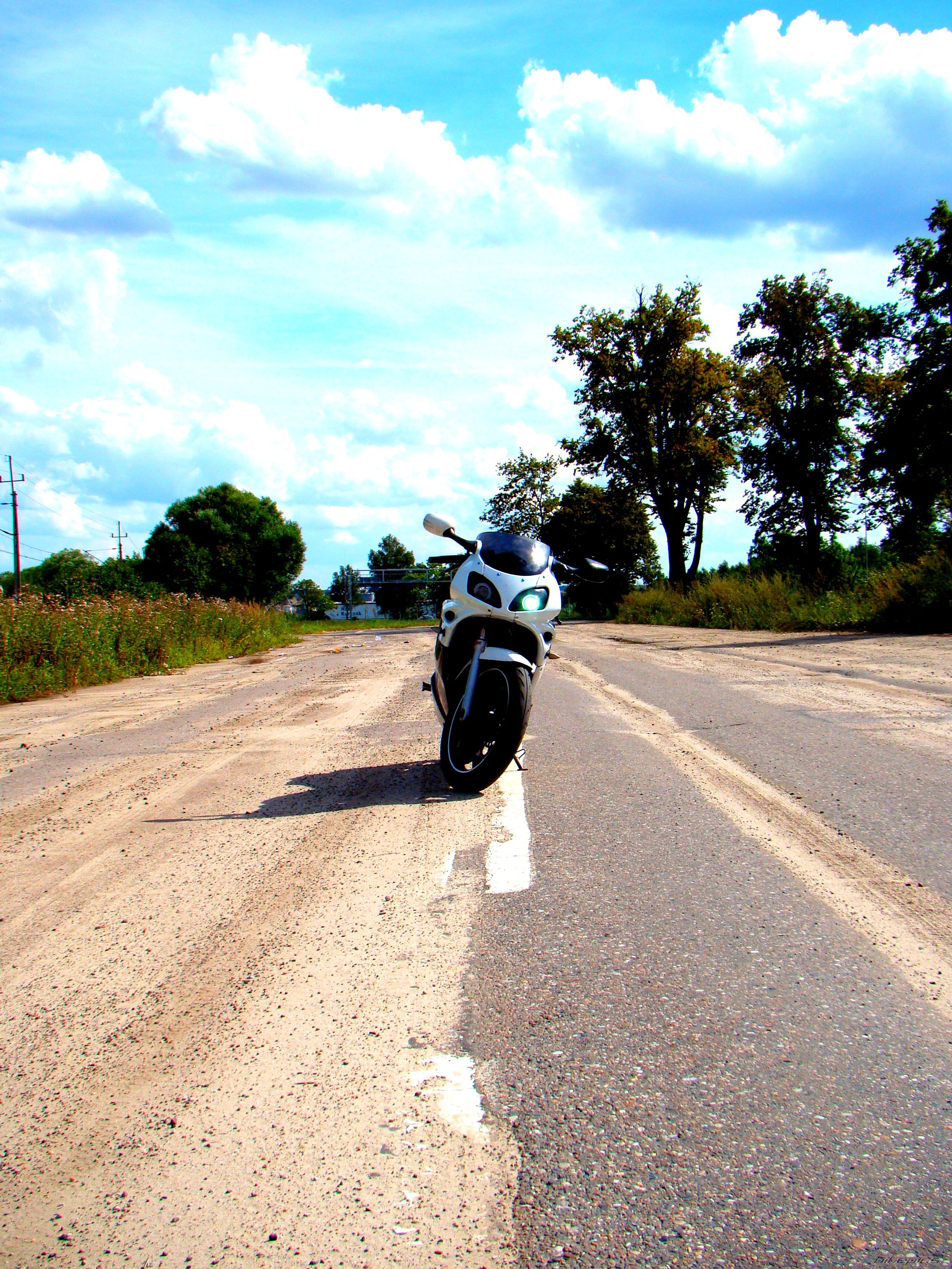 Photo 2582951