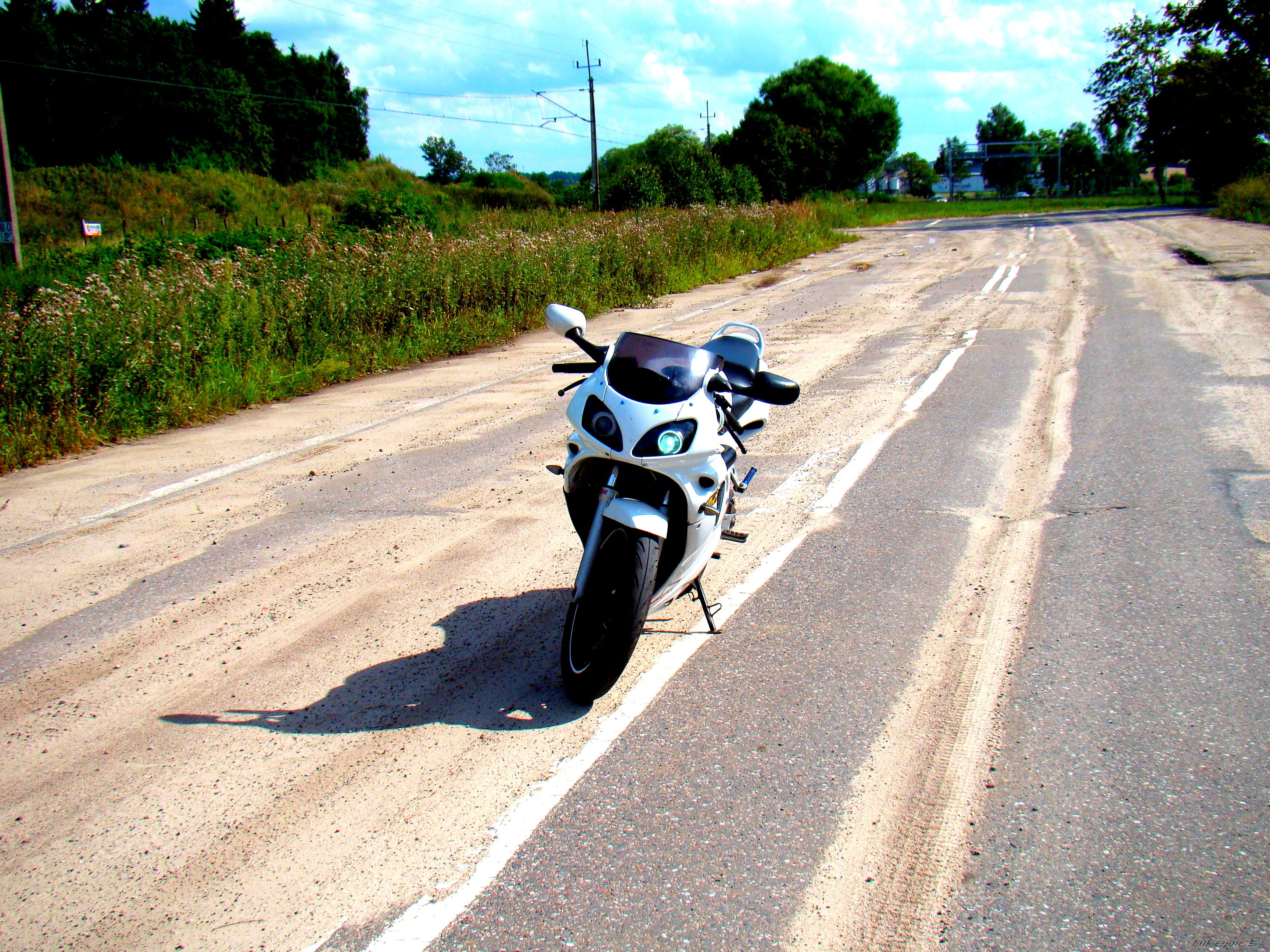 Photo 2582953