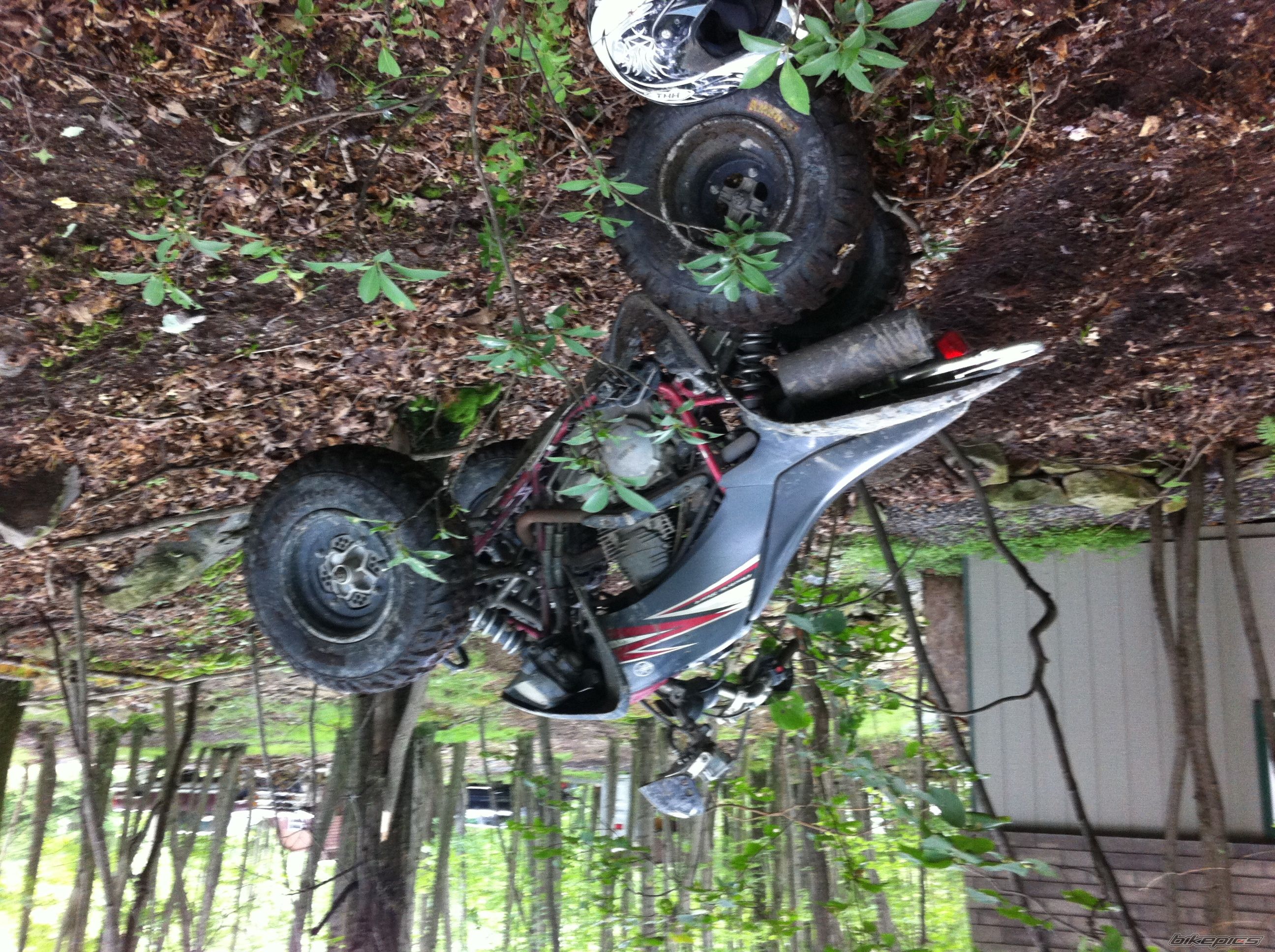 Yfm 250r