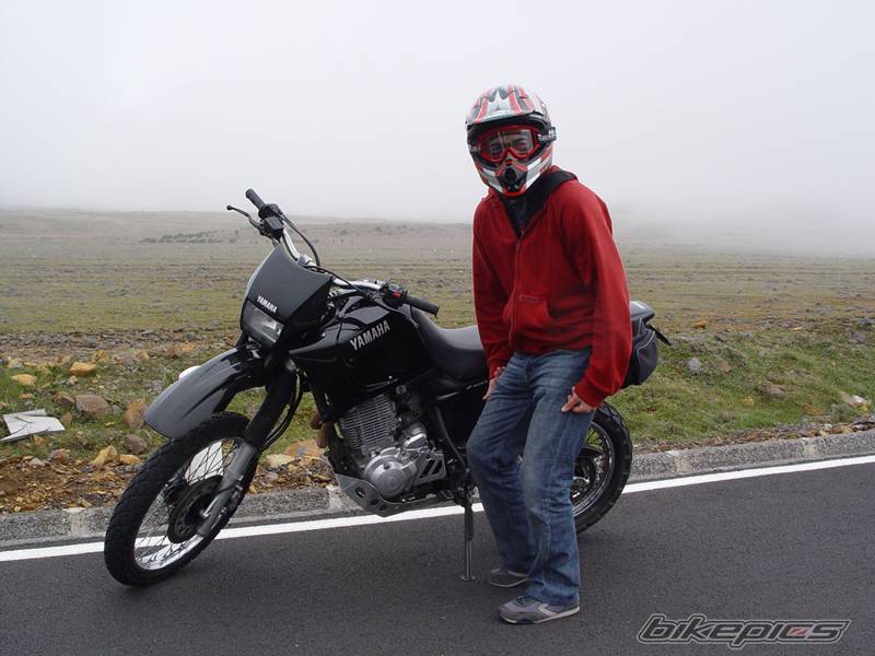 Bike Photo 258307