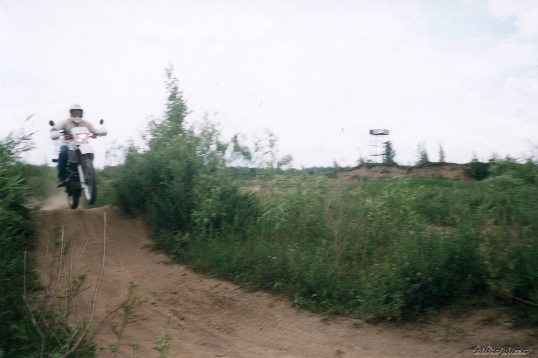 Photo 258309