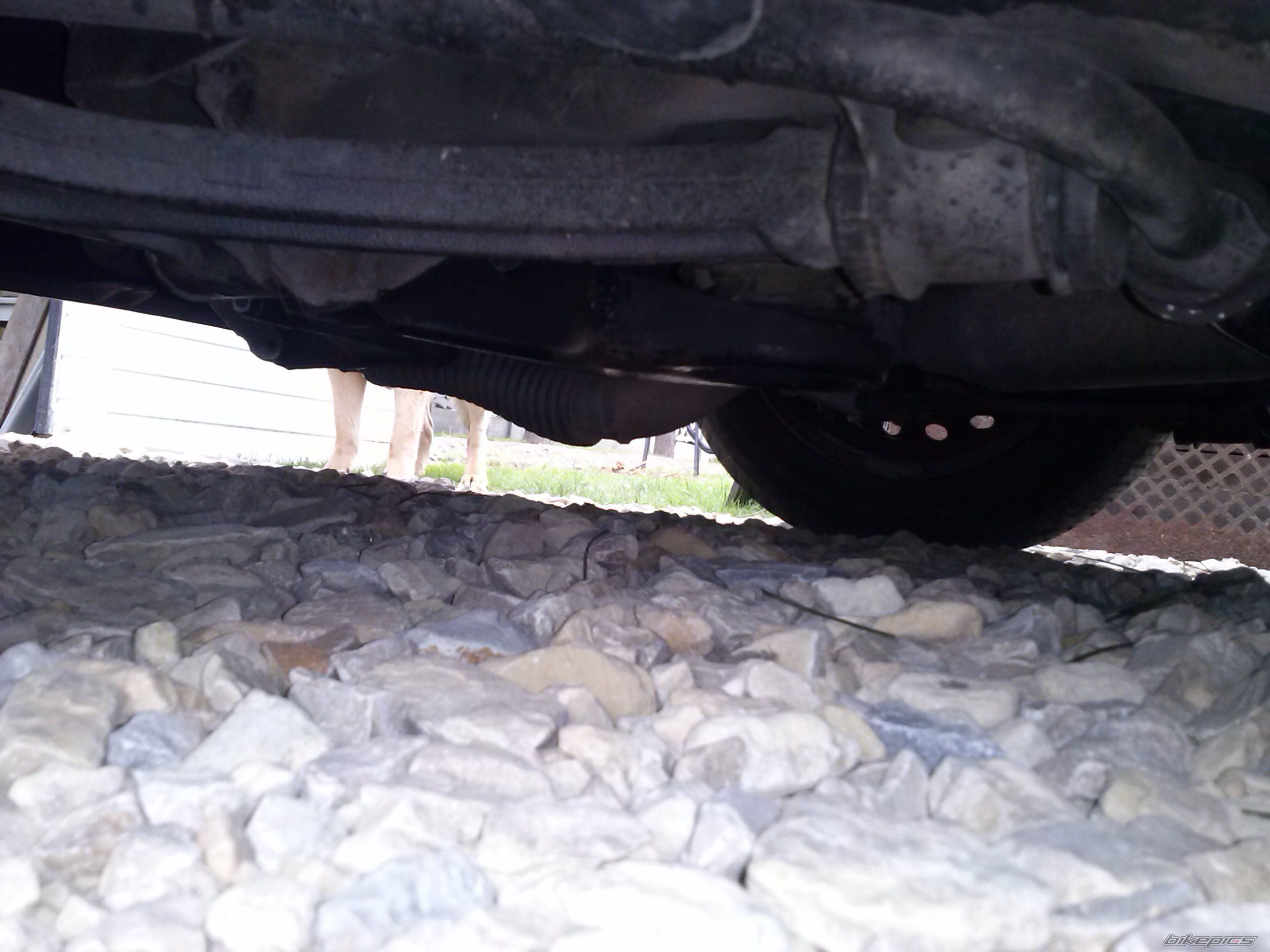 Photo 2583095