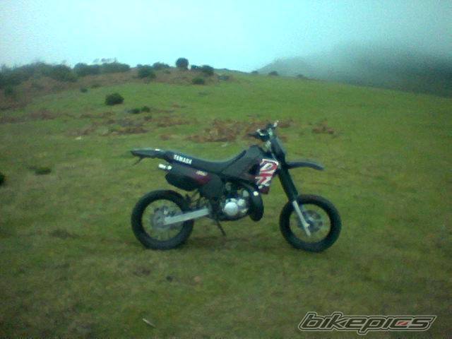 Photo 258310