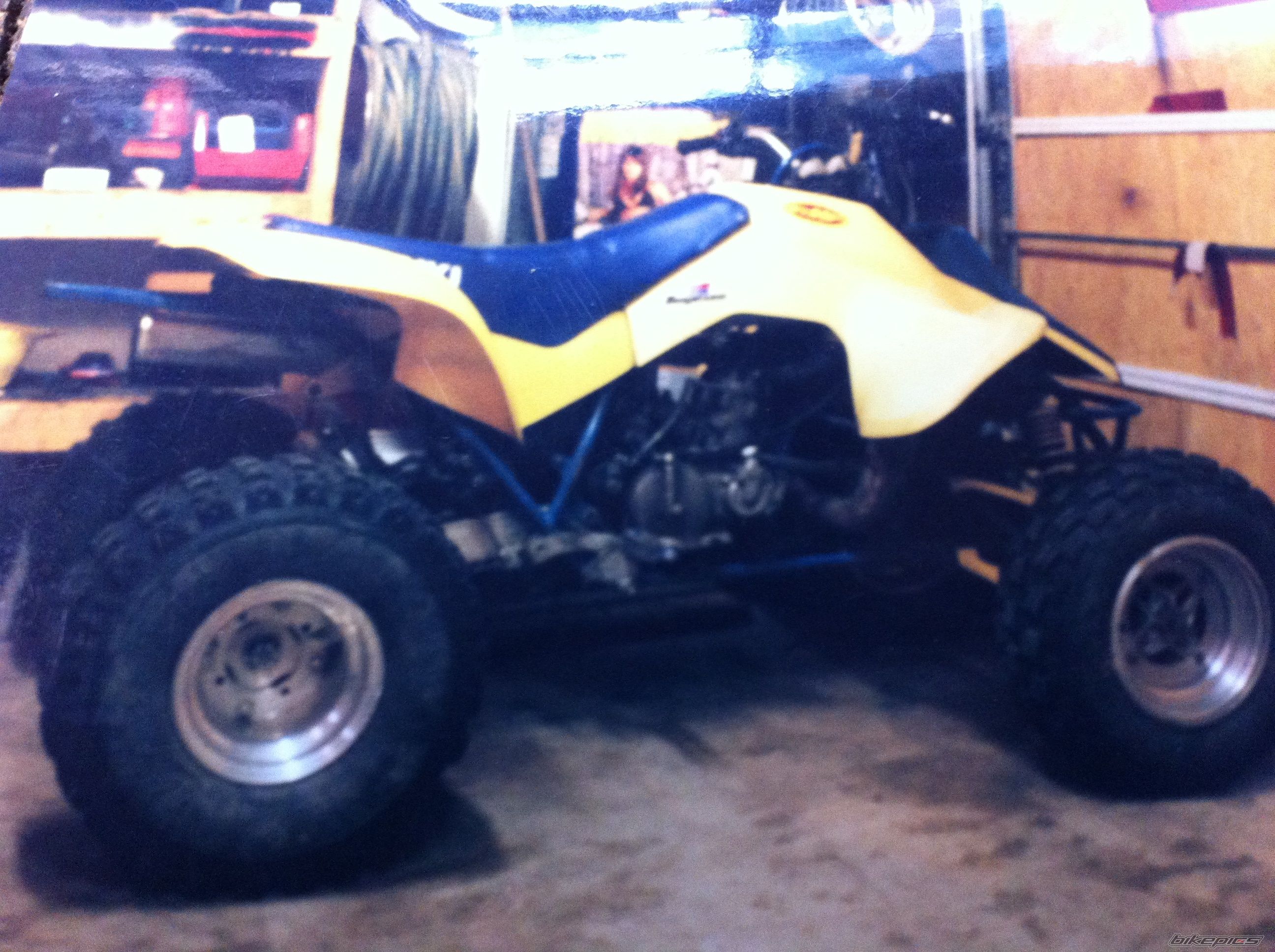 Photo 2583110