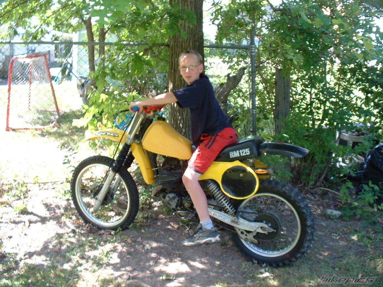 Photo 258315