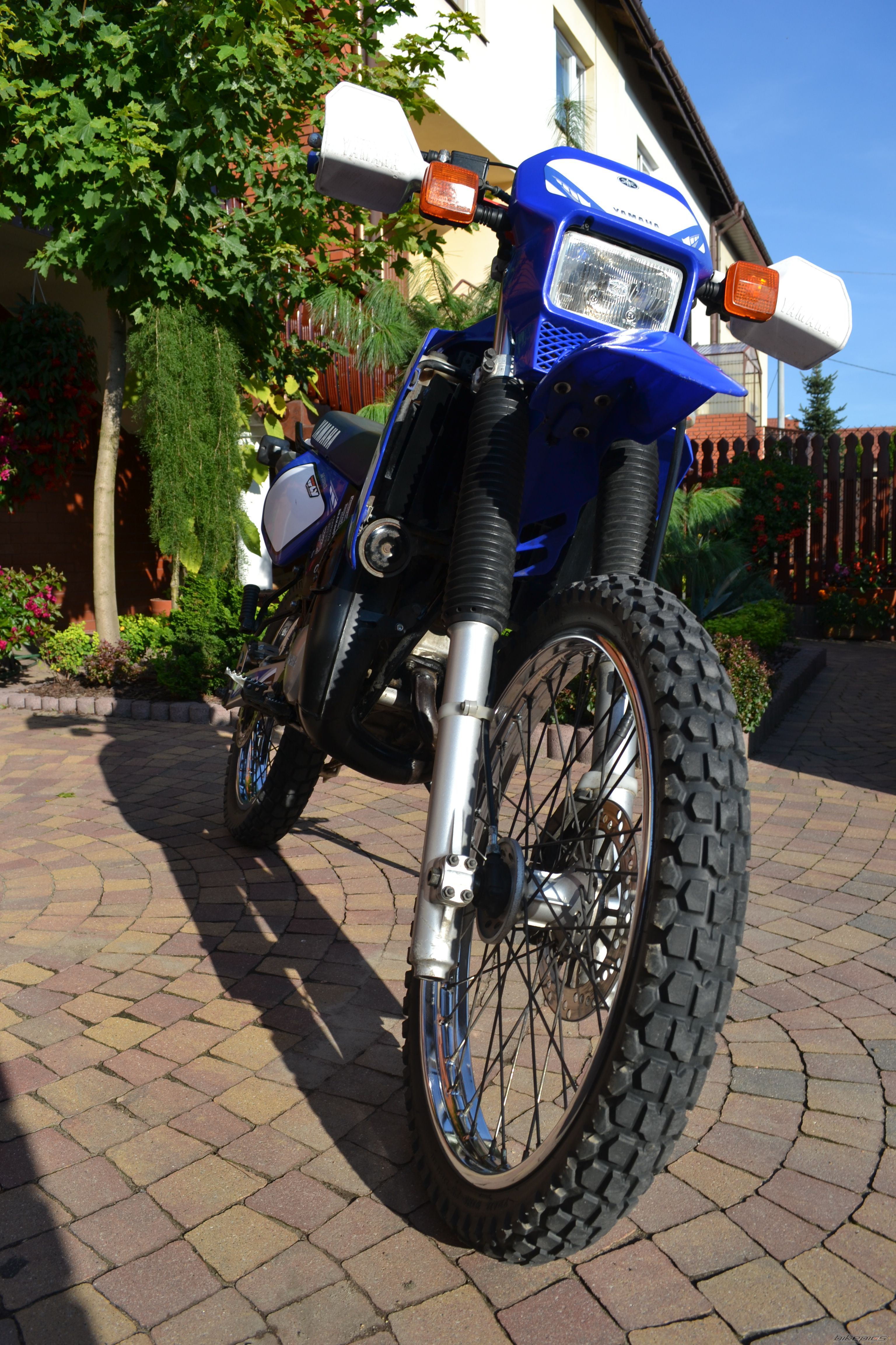 Photo 2583167