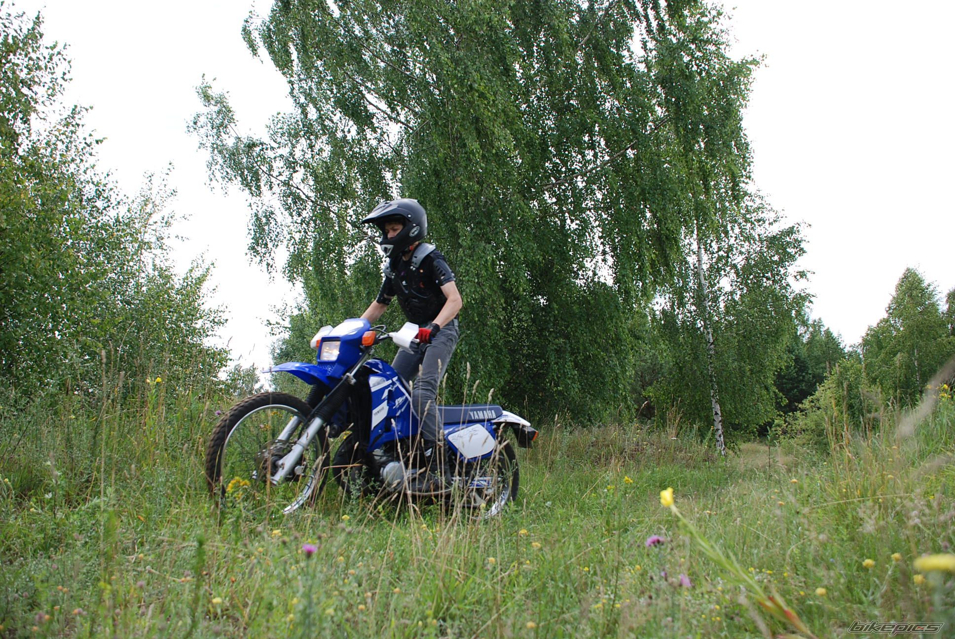 Photo 2583183