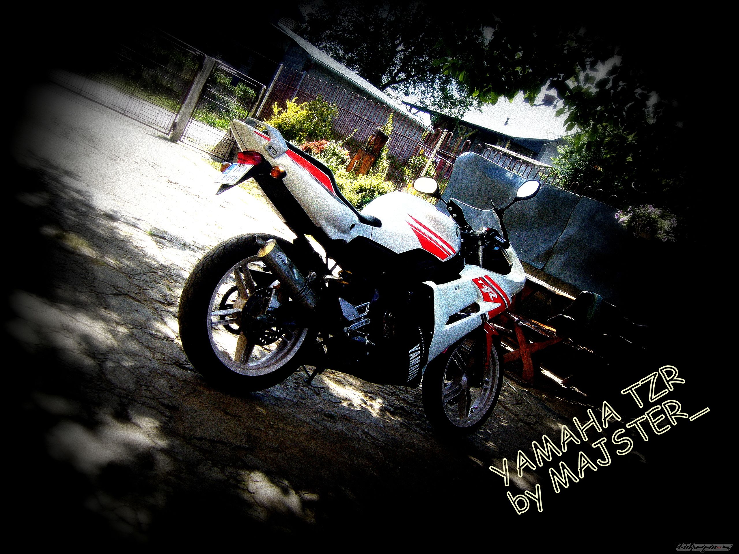 Photo 2583250