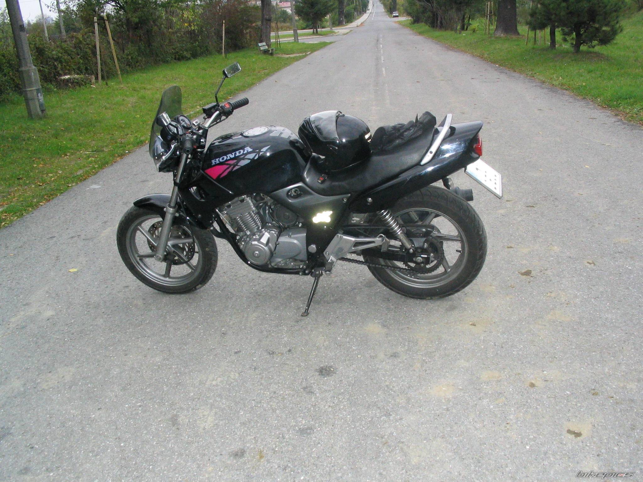 Photo 258332