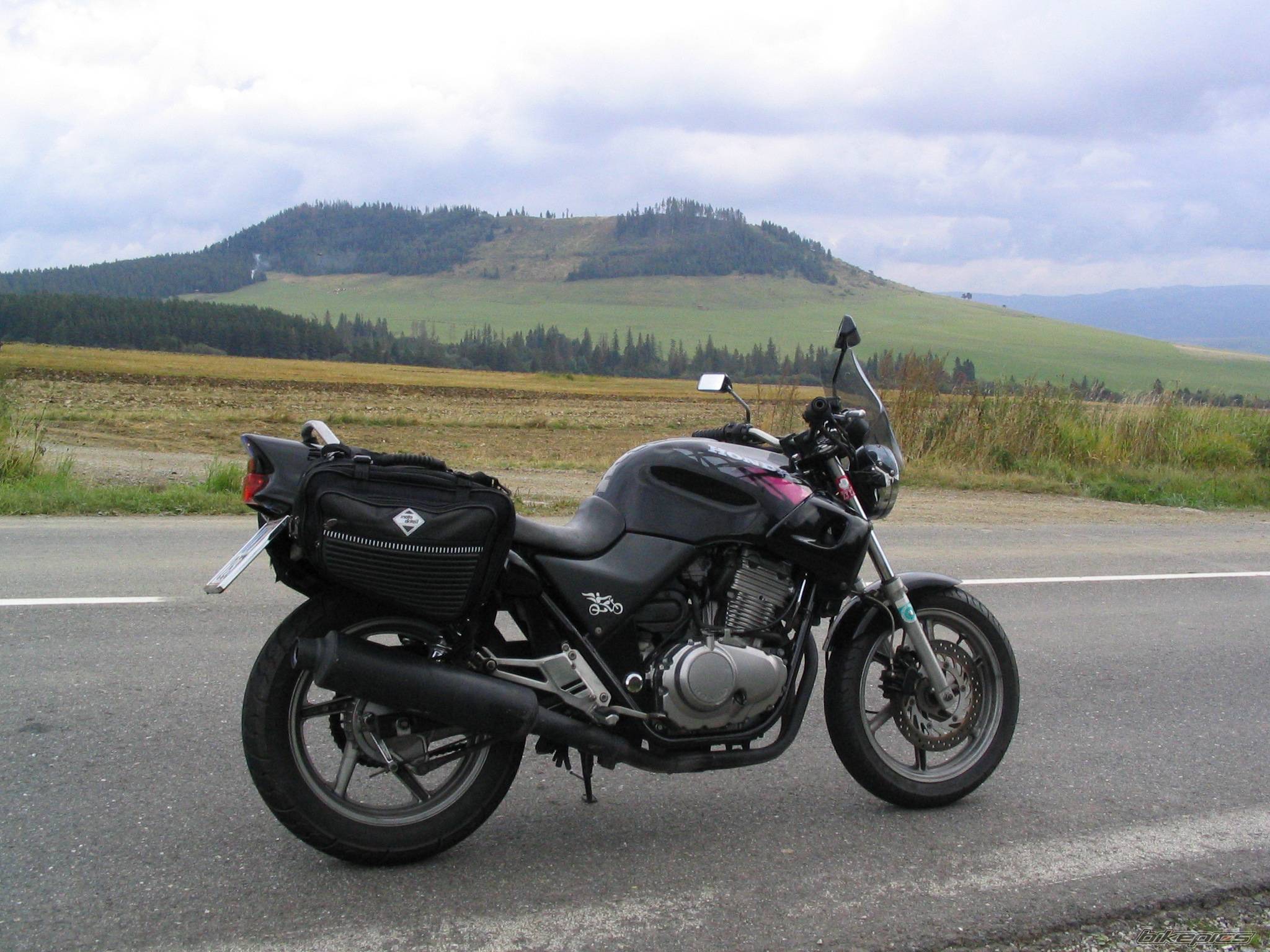 Photo 258333