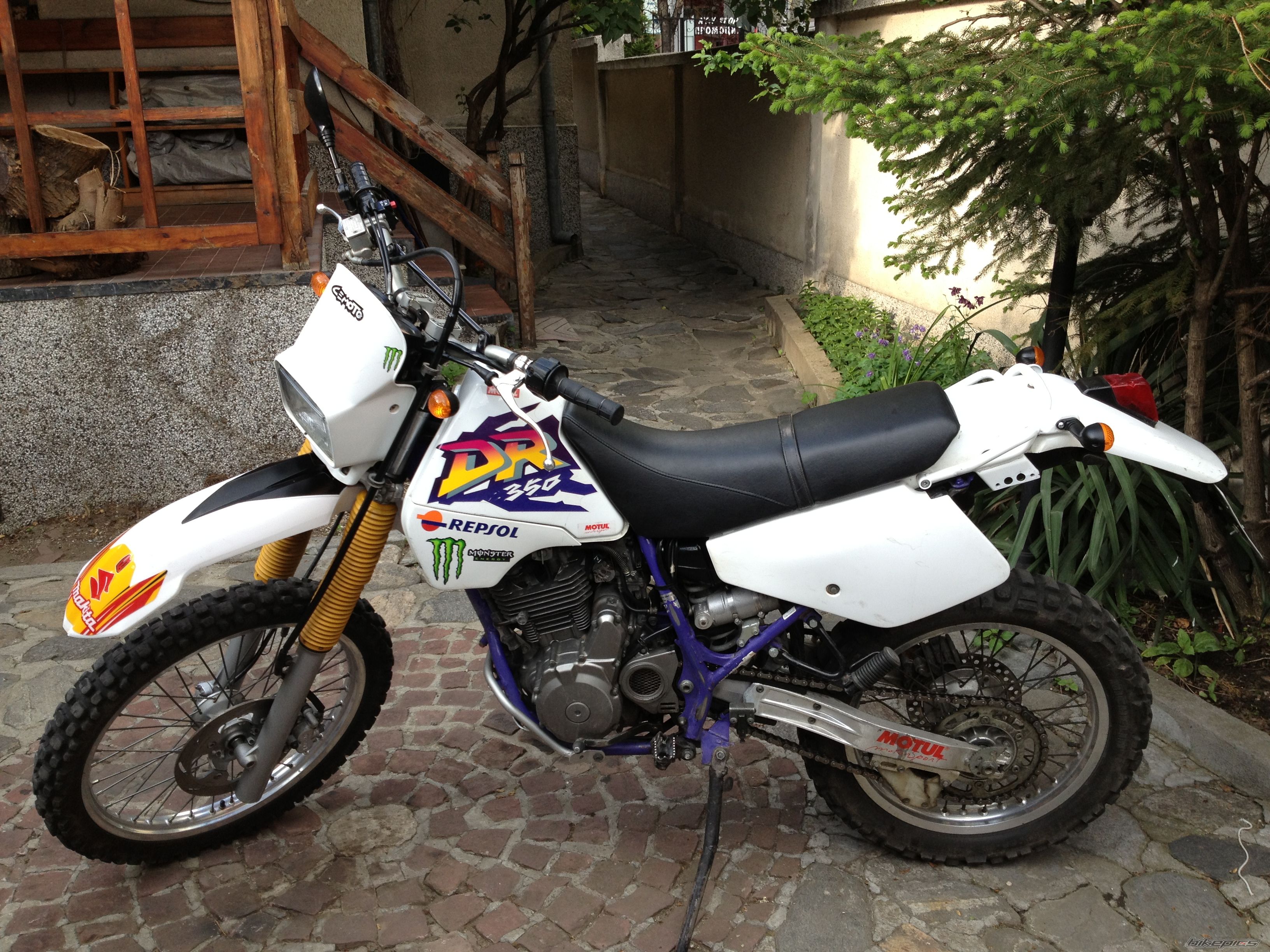 Photo 2583333