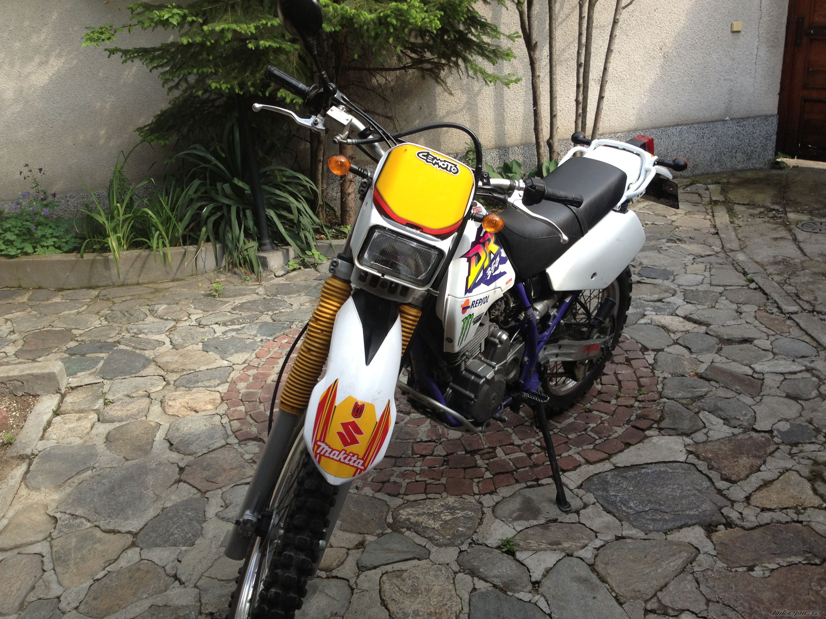 Photo 2583334