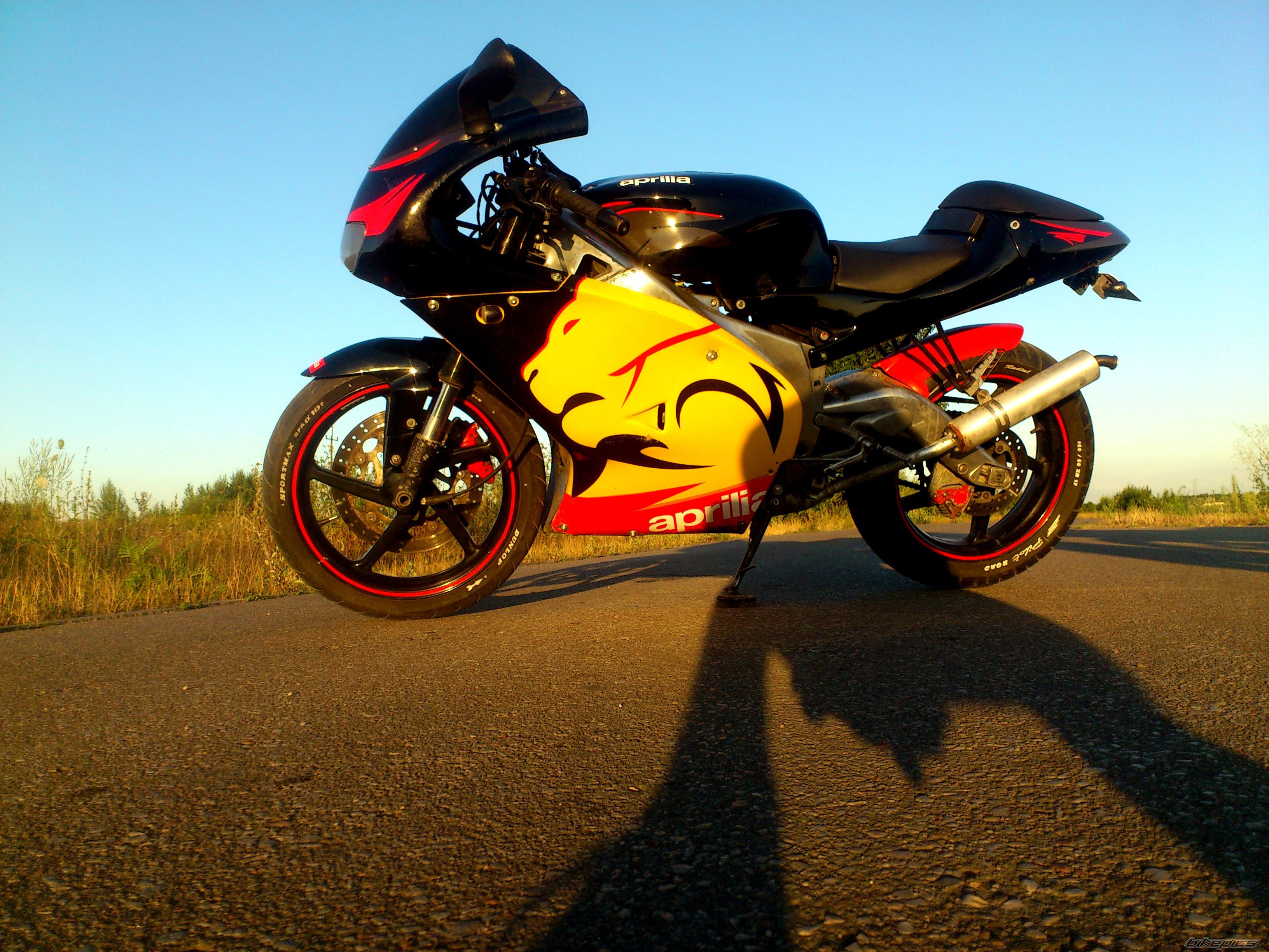Photo 2583390