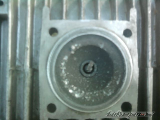 Photo 2583414