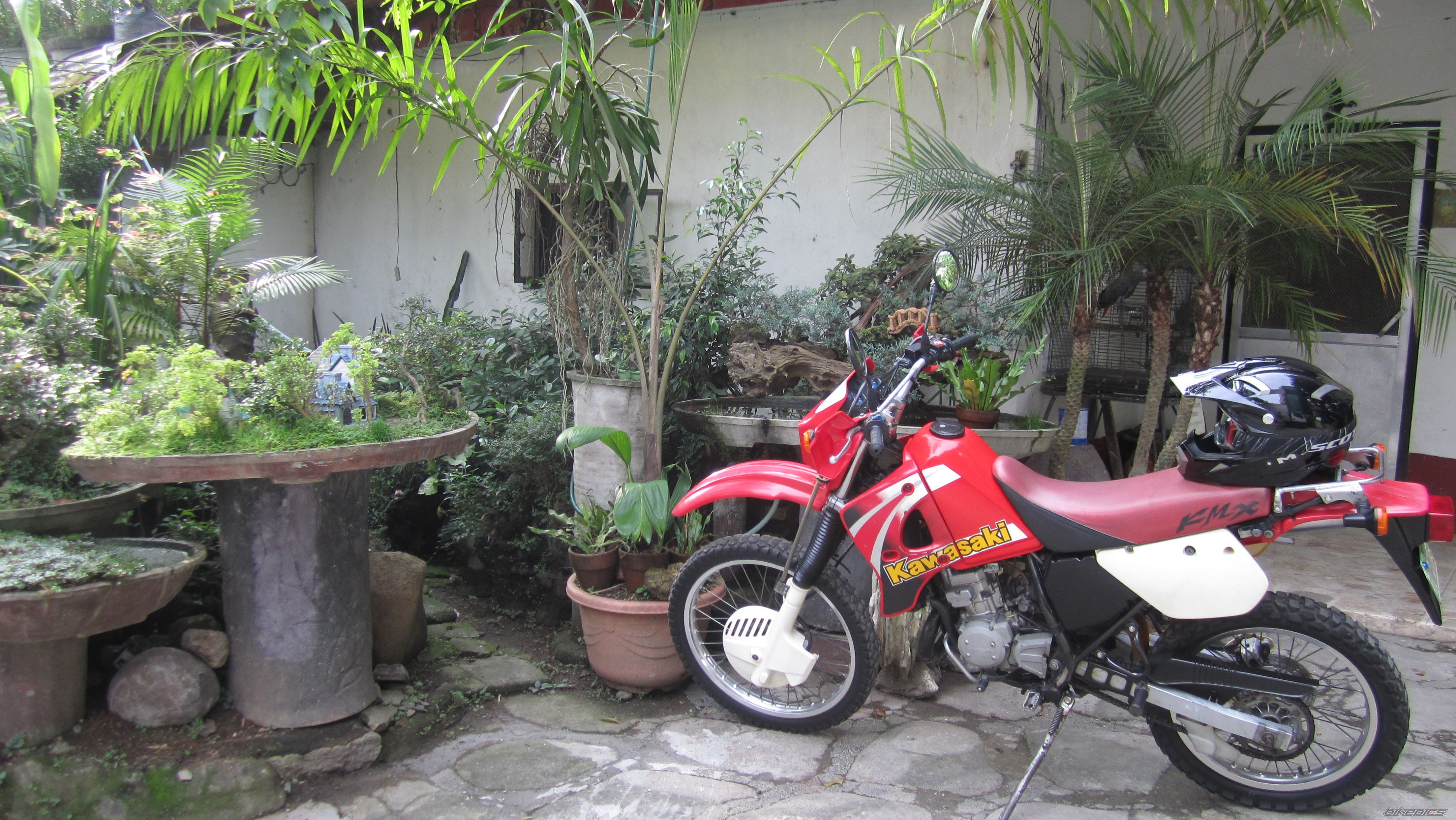 Photo 2583462