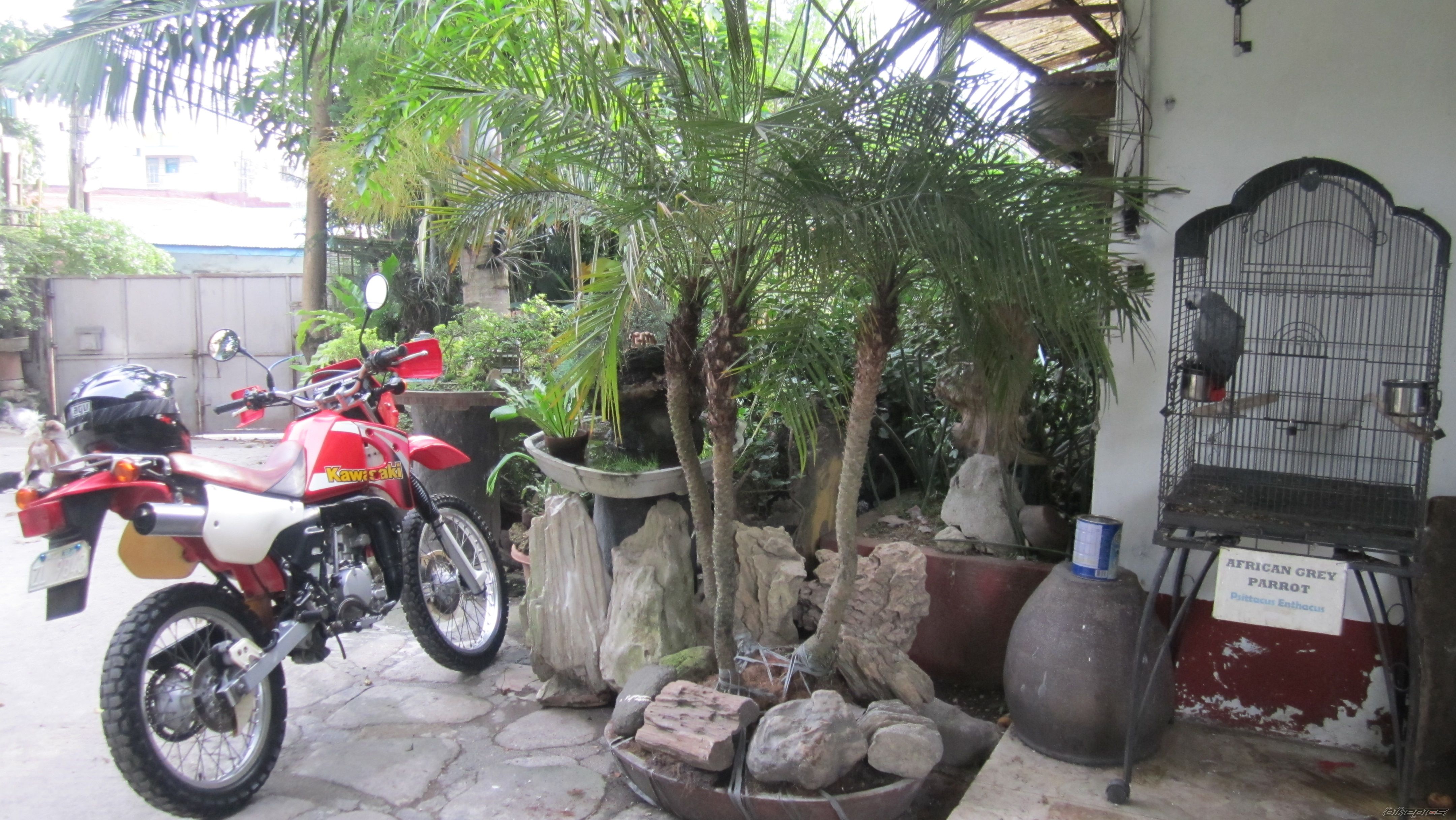 Photo 2583463