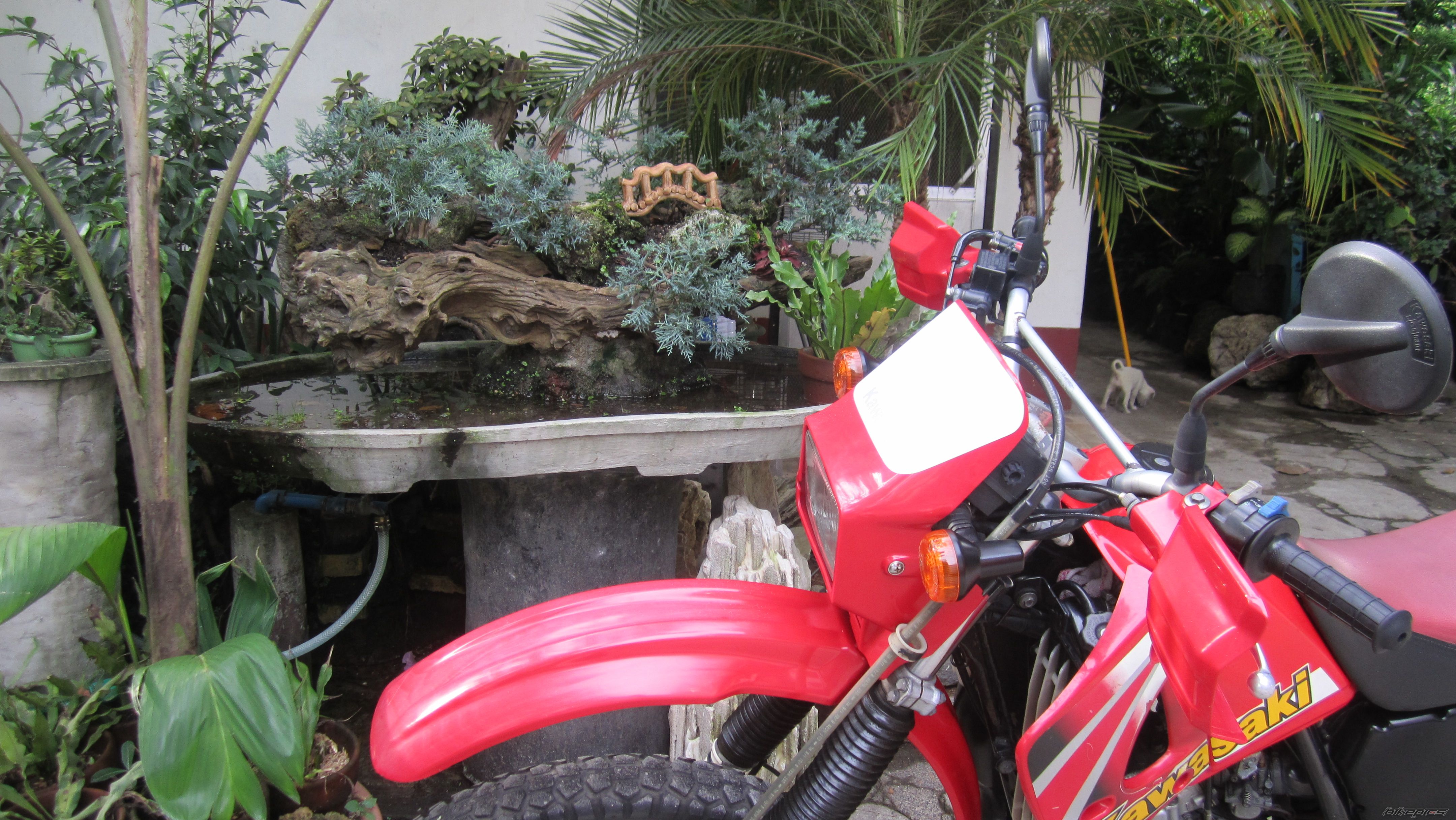 Photo 2583464