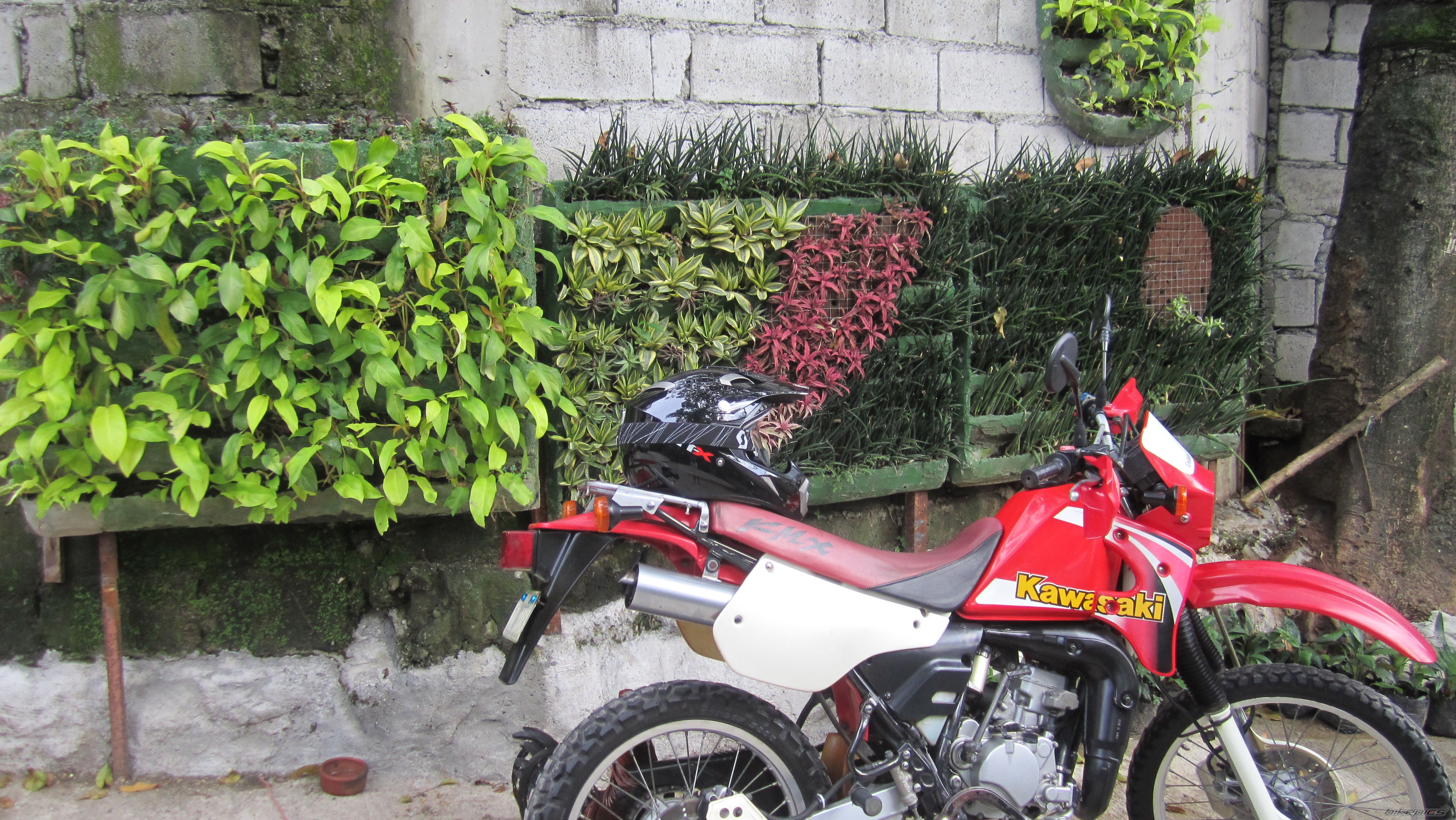 Photo 2583466