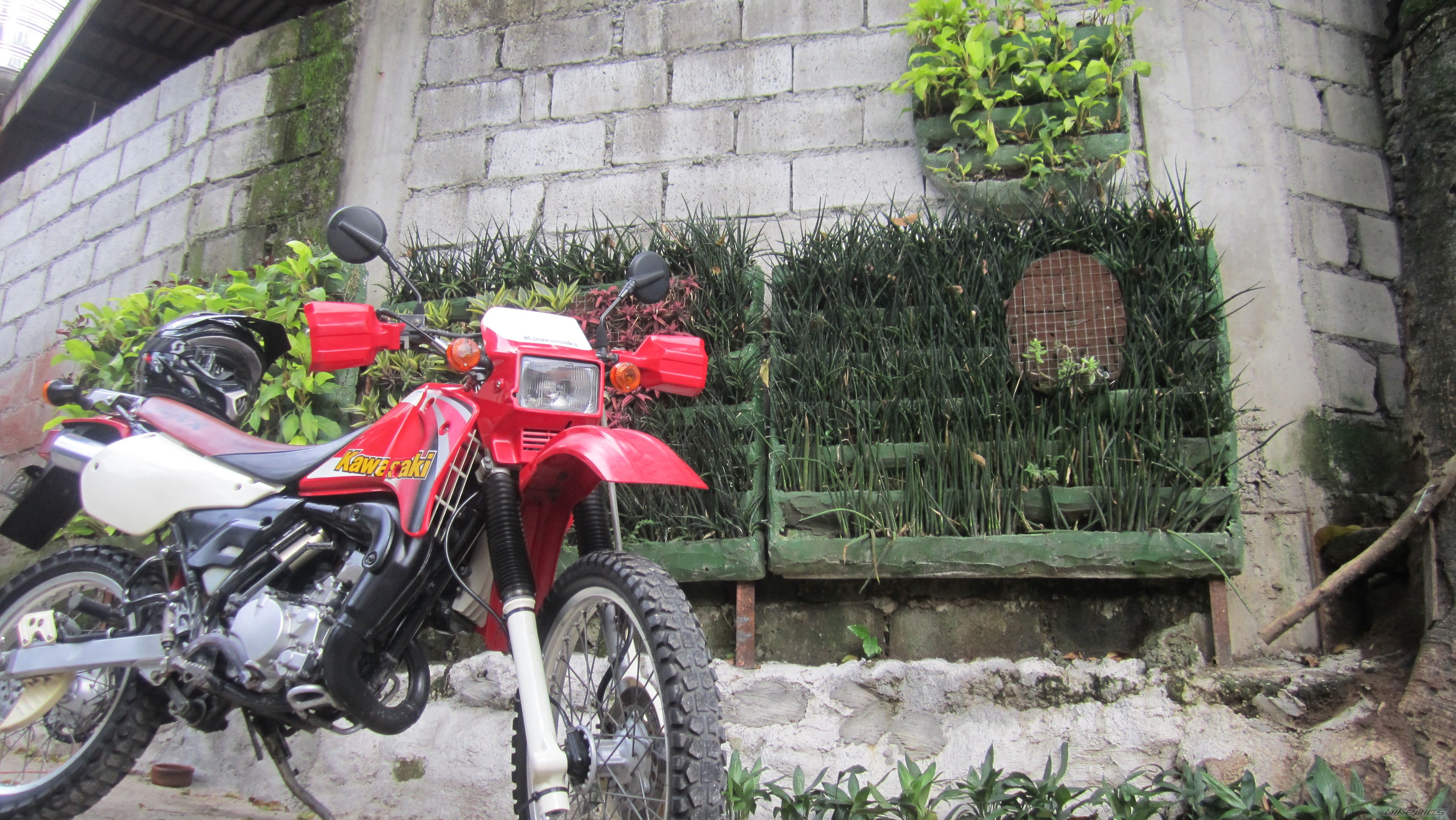 Photo 2583468