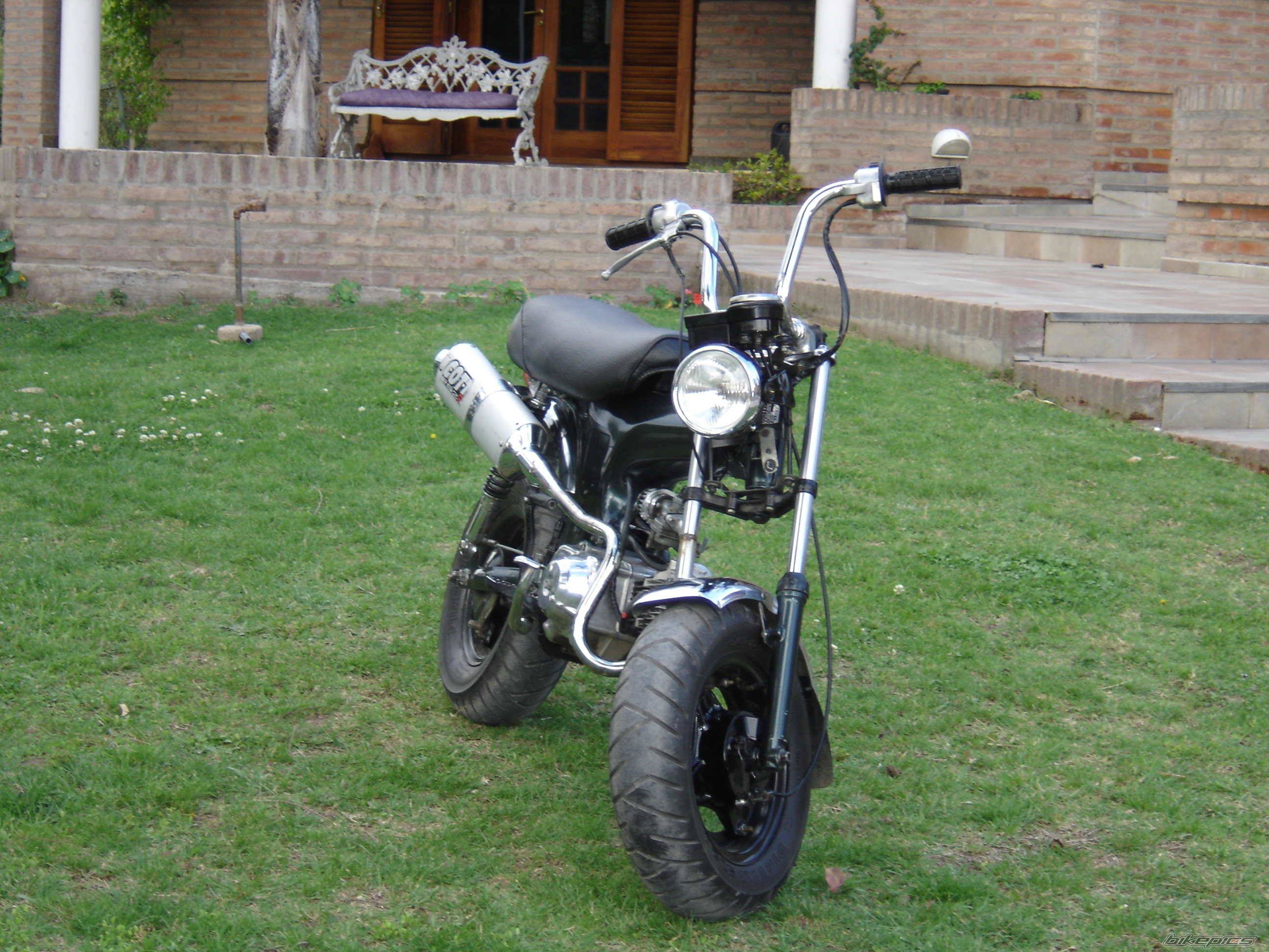 Photo 258347