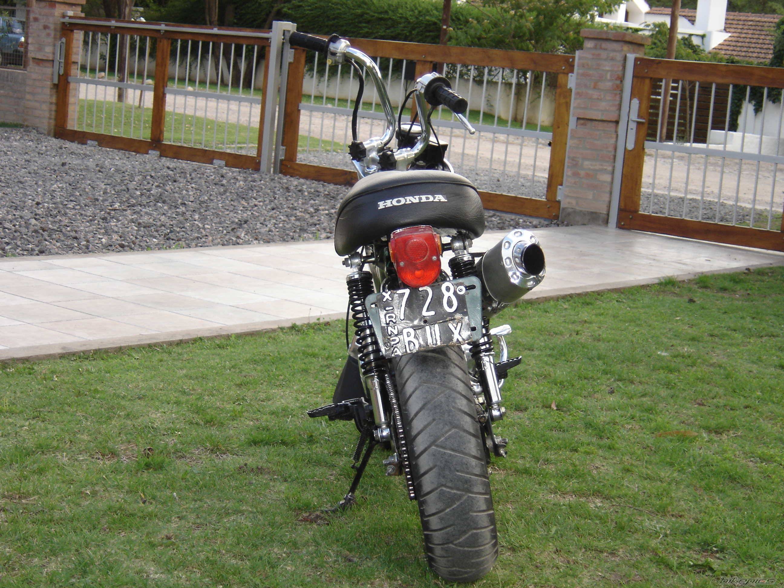 Photo 258355