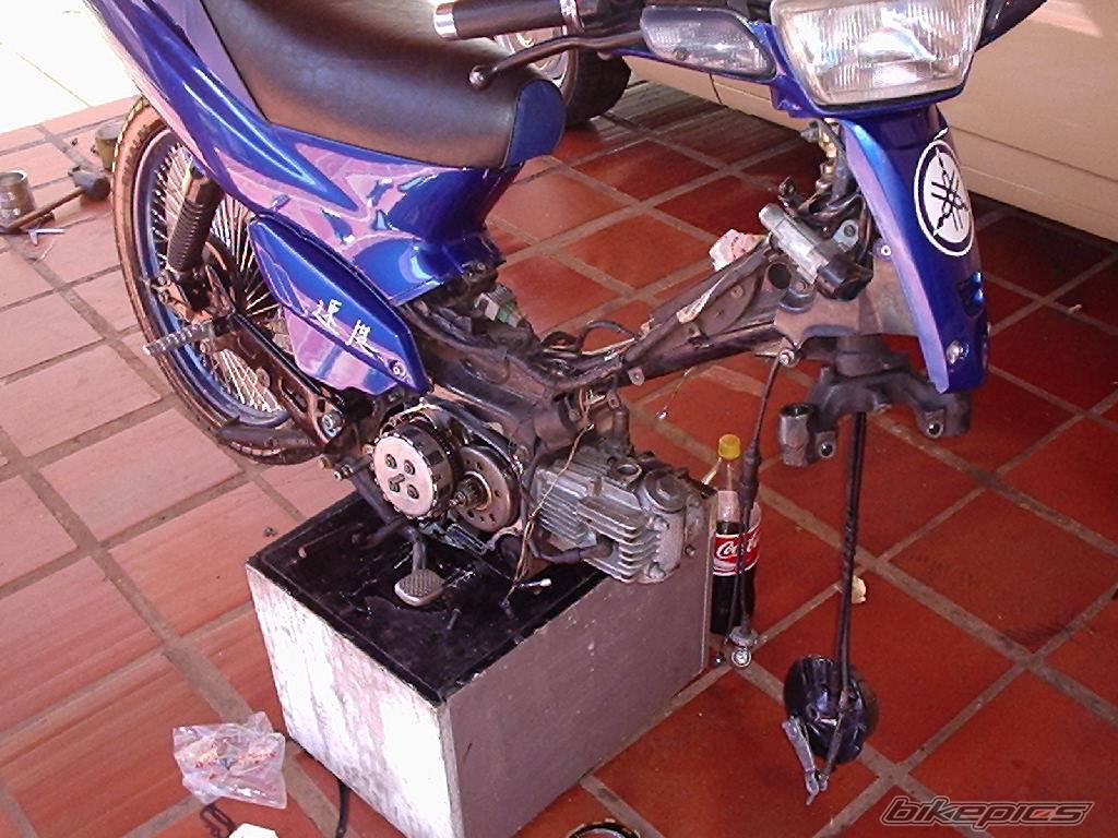 Bike Photo 258358