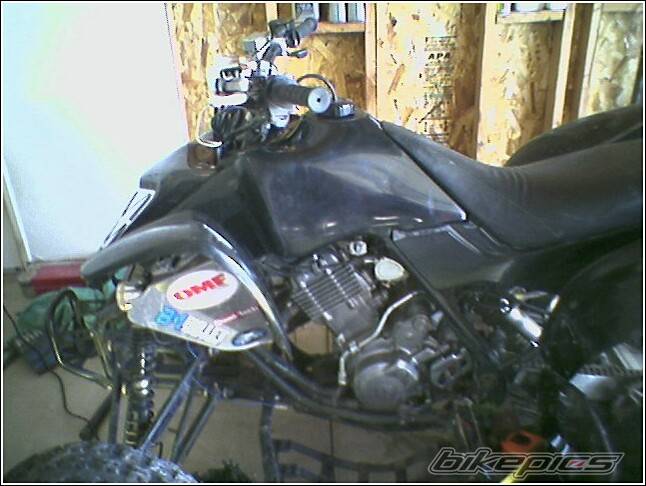 Photo 258365