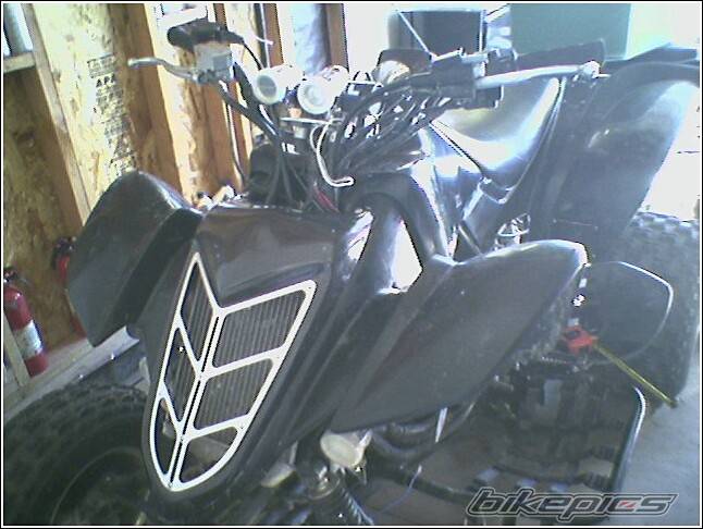 Photo 258366