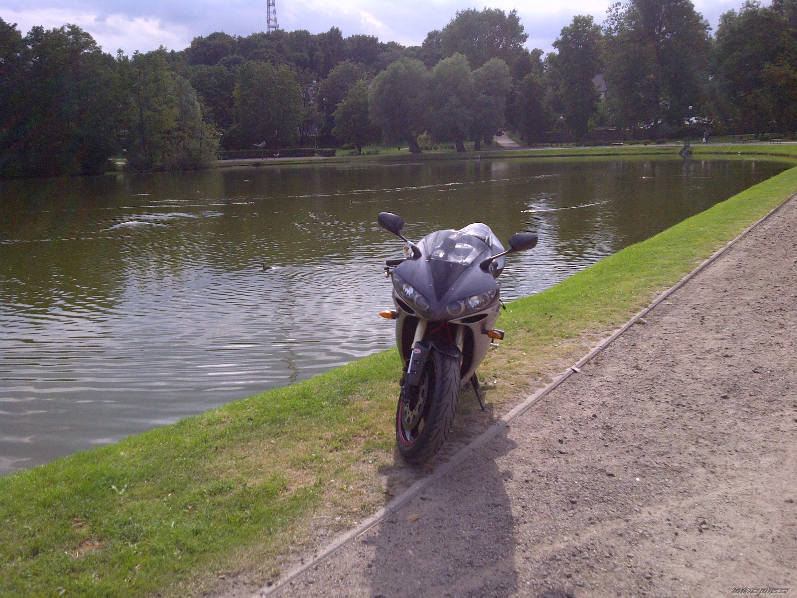 Photo 2583727