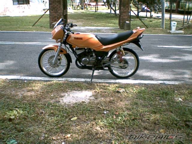 Photo 258378