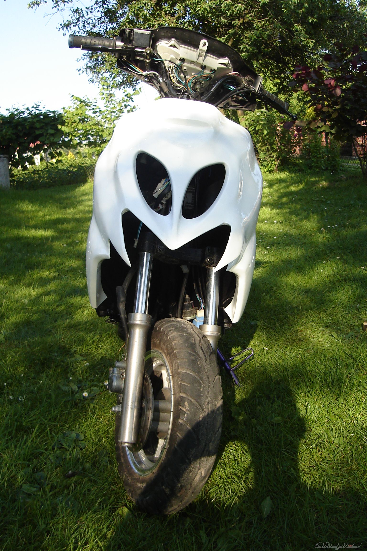 Photo 2583894
