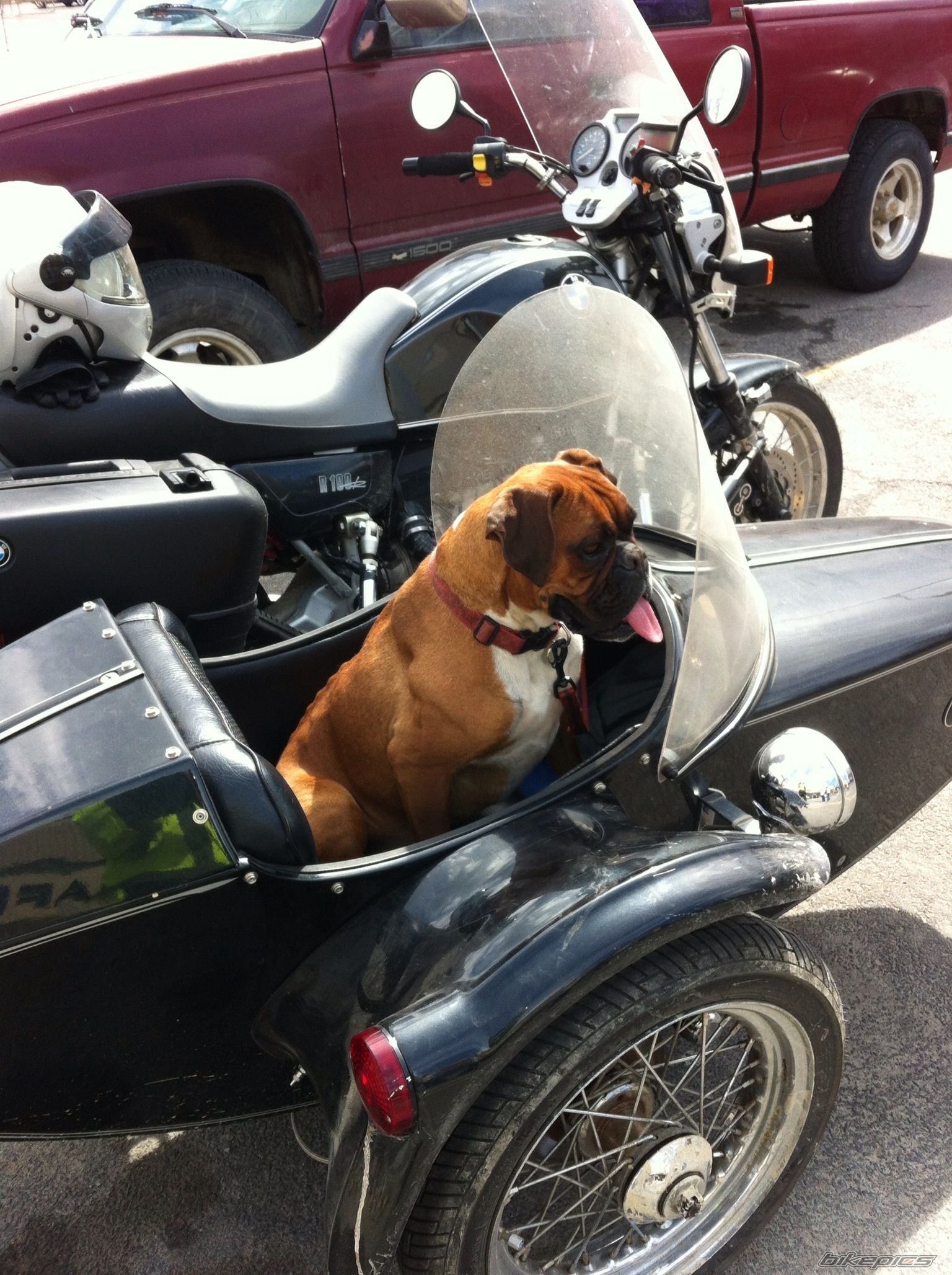 Photo 2583924