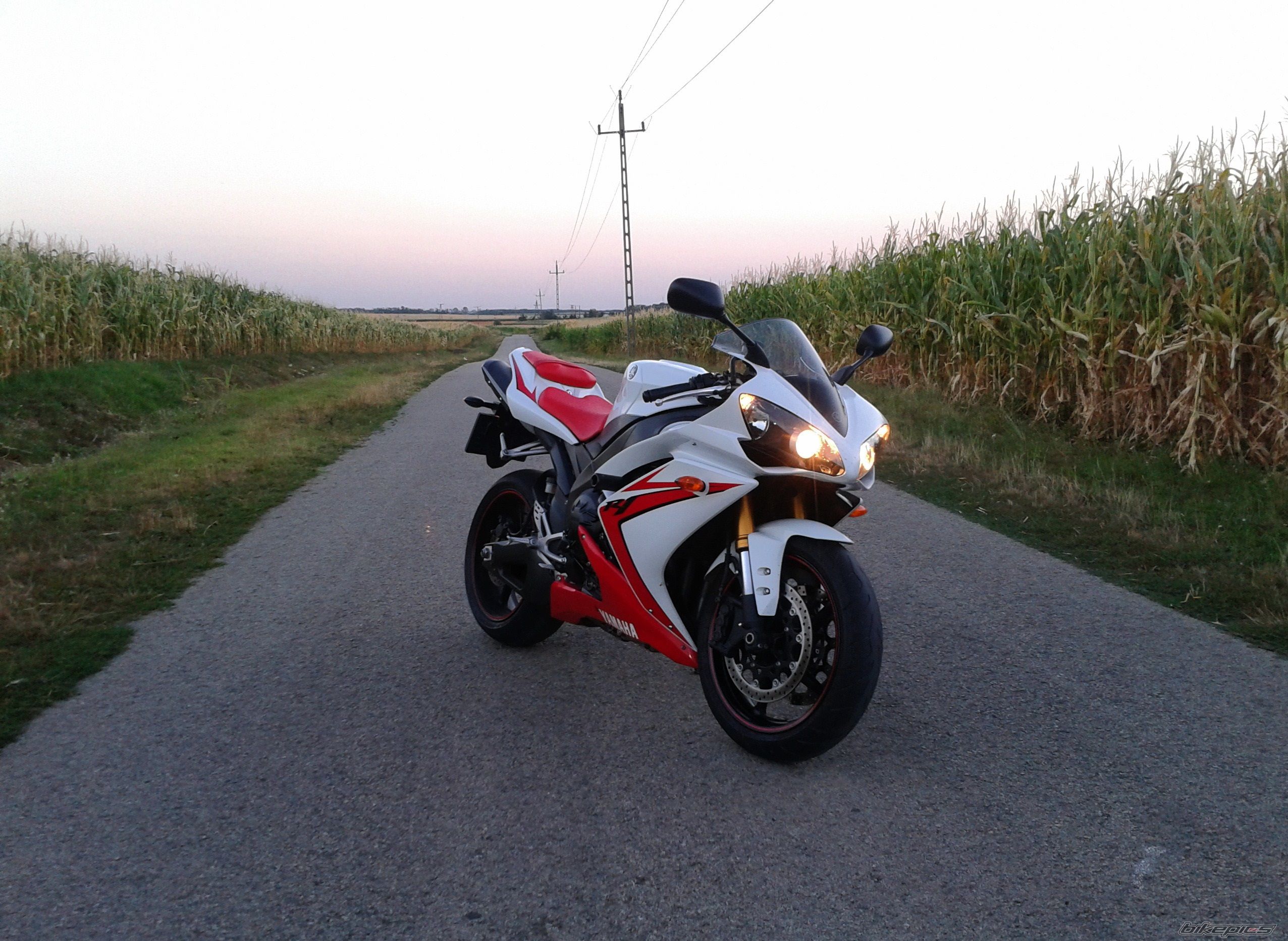 Photo 2583954