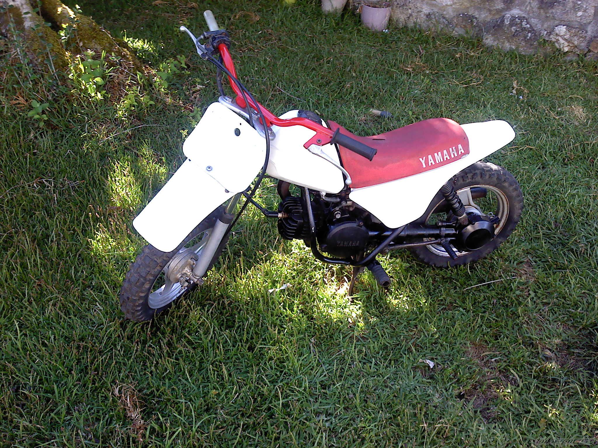 Photo 2584007