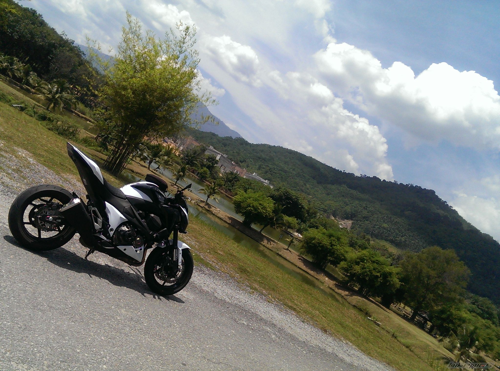 Photo 2584063