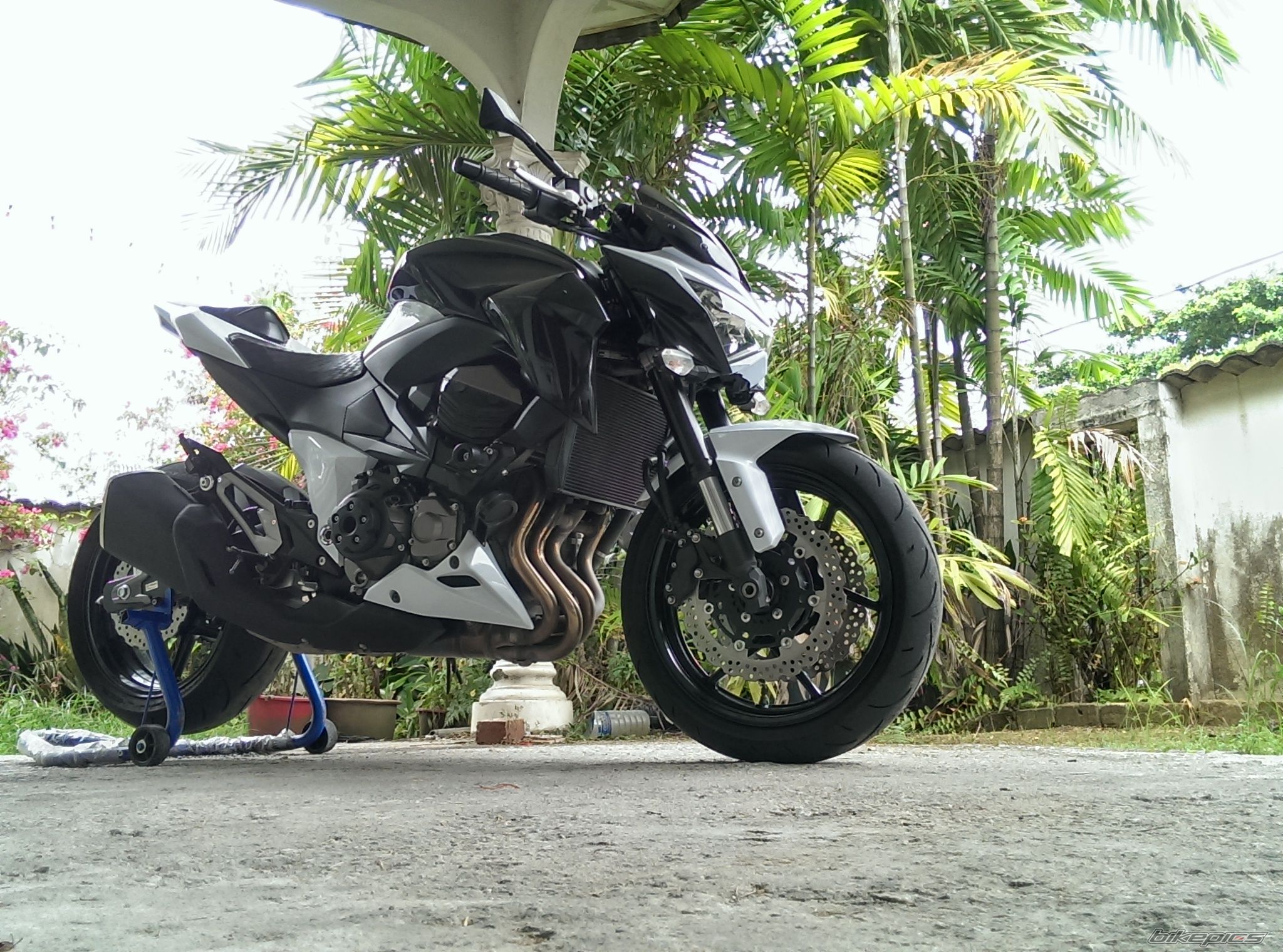 Photo 2584068