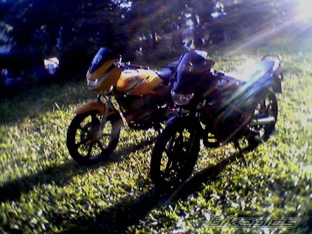 Photo 258408
