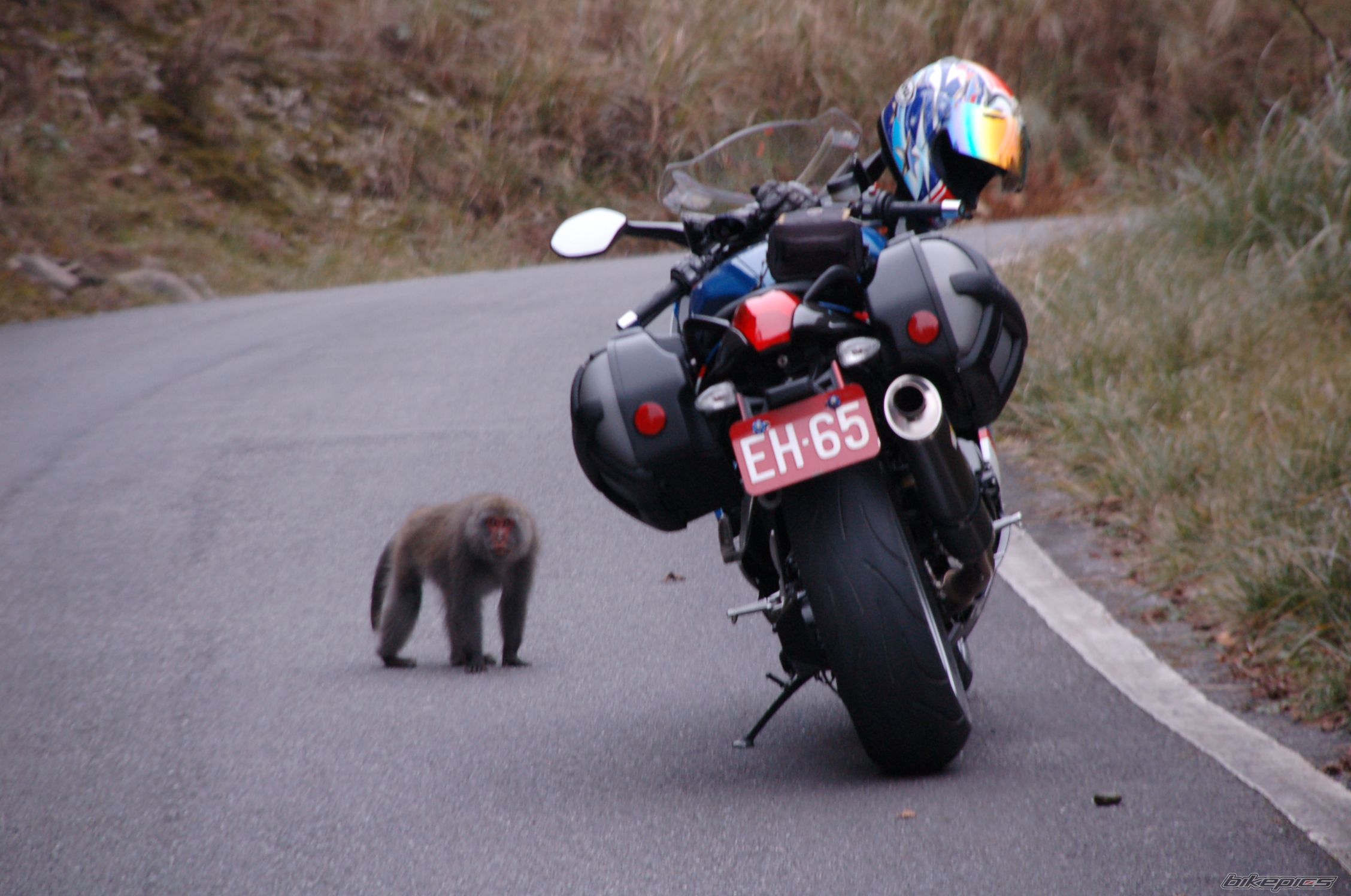 Bike Photo 2584234