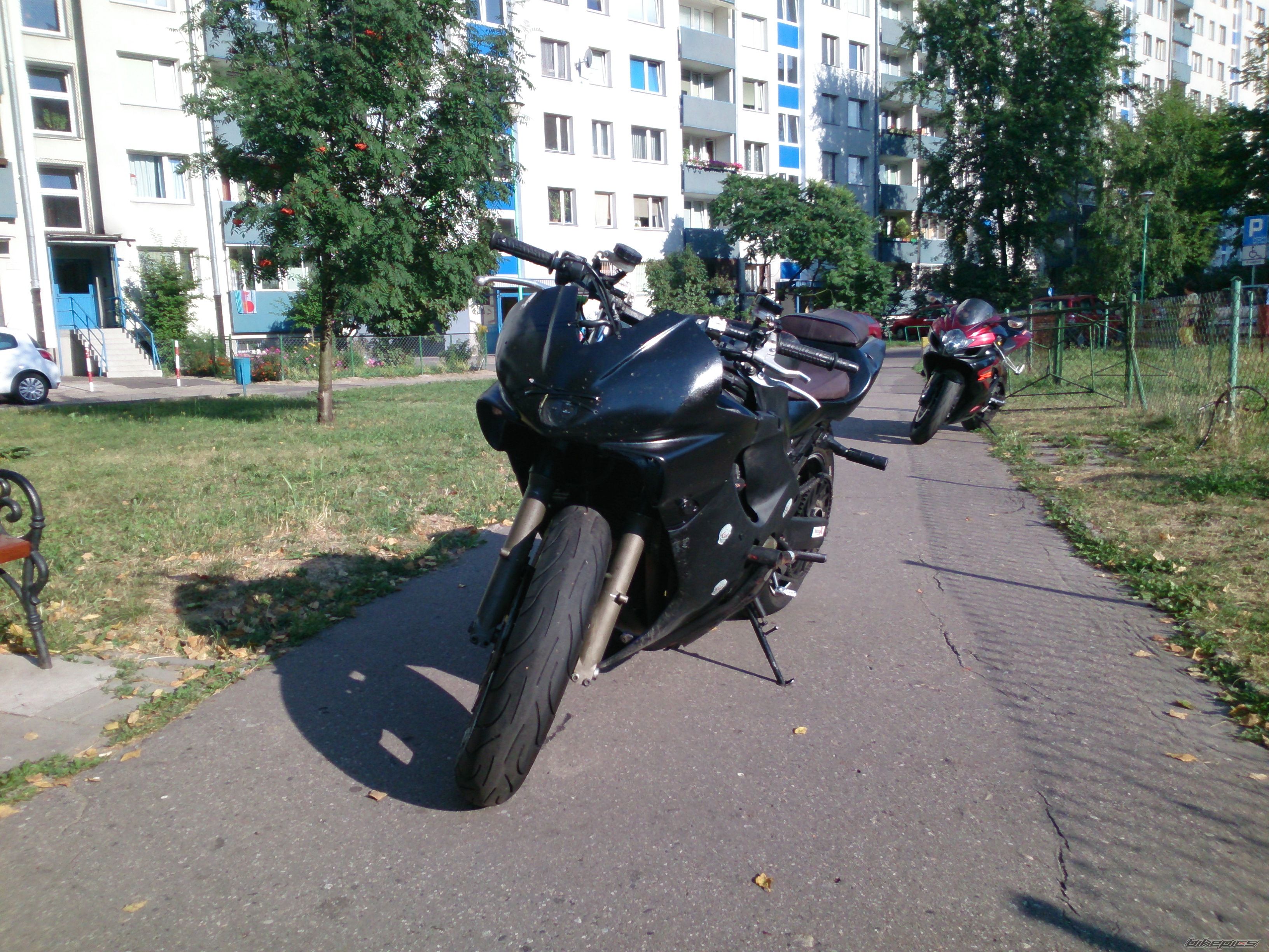 Photo 2584241