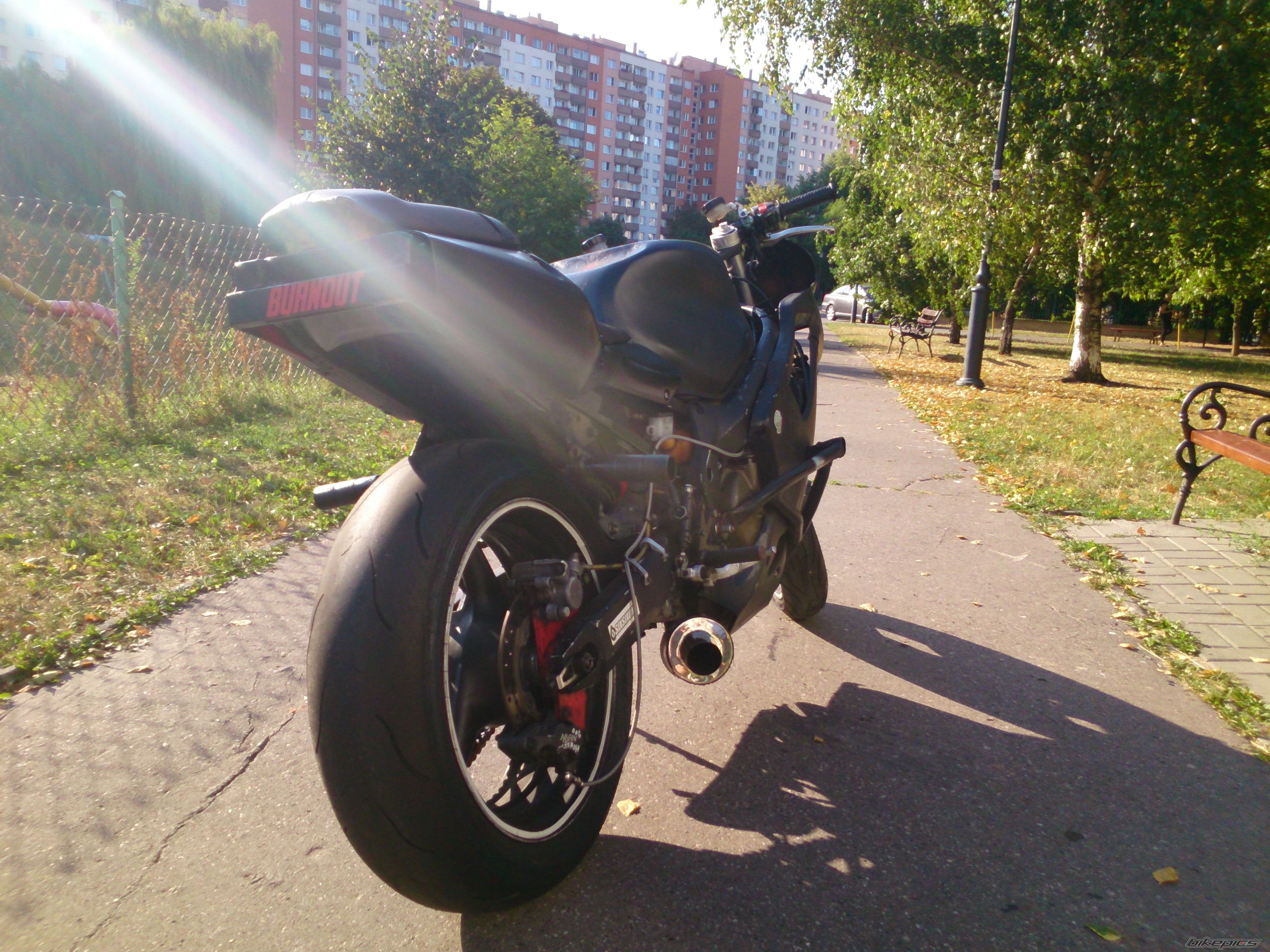 Photo 2584243