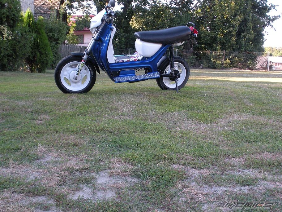 Photo 2584246