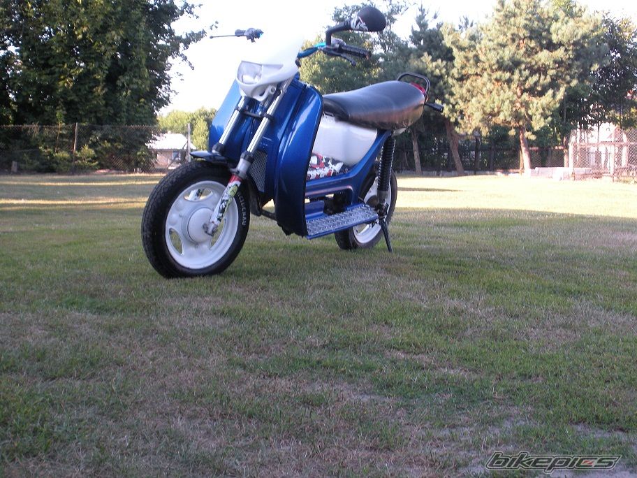 Photo 2584247