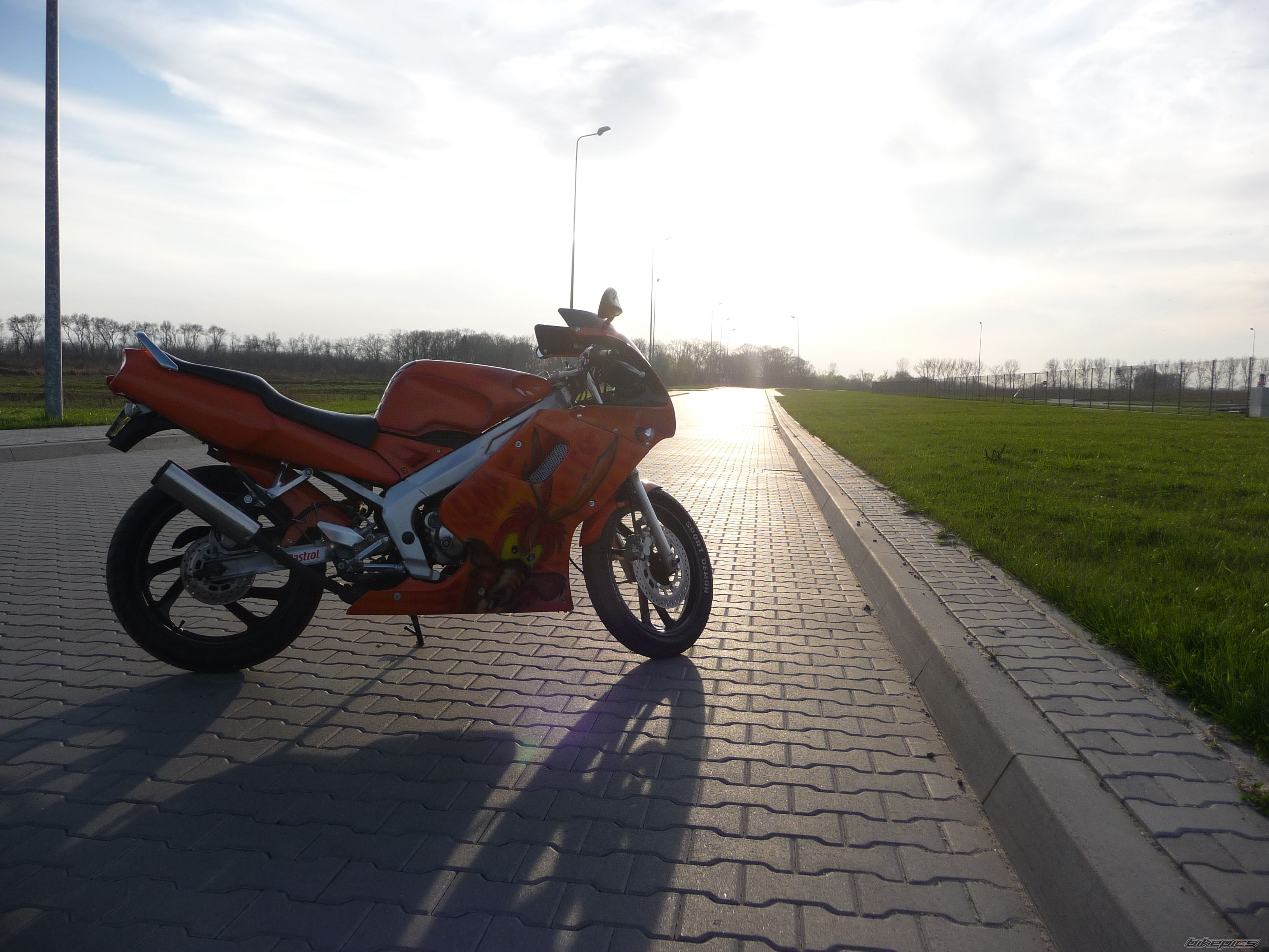 Photo 2584266