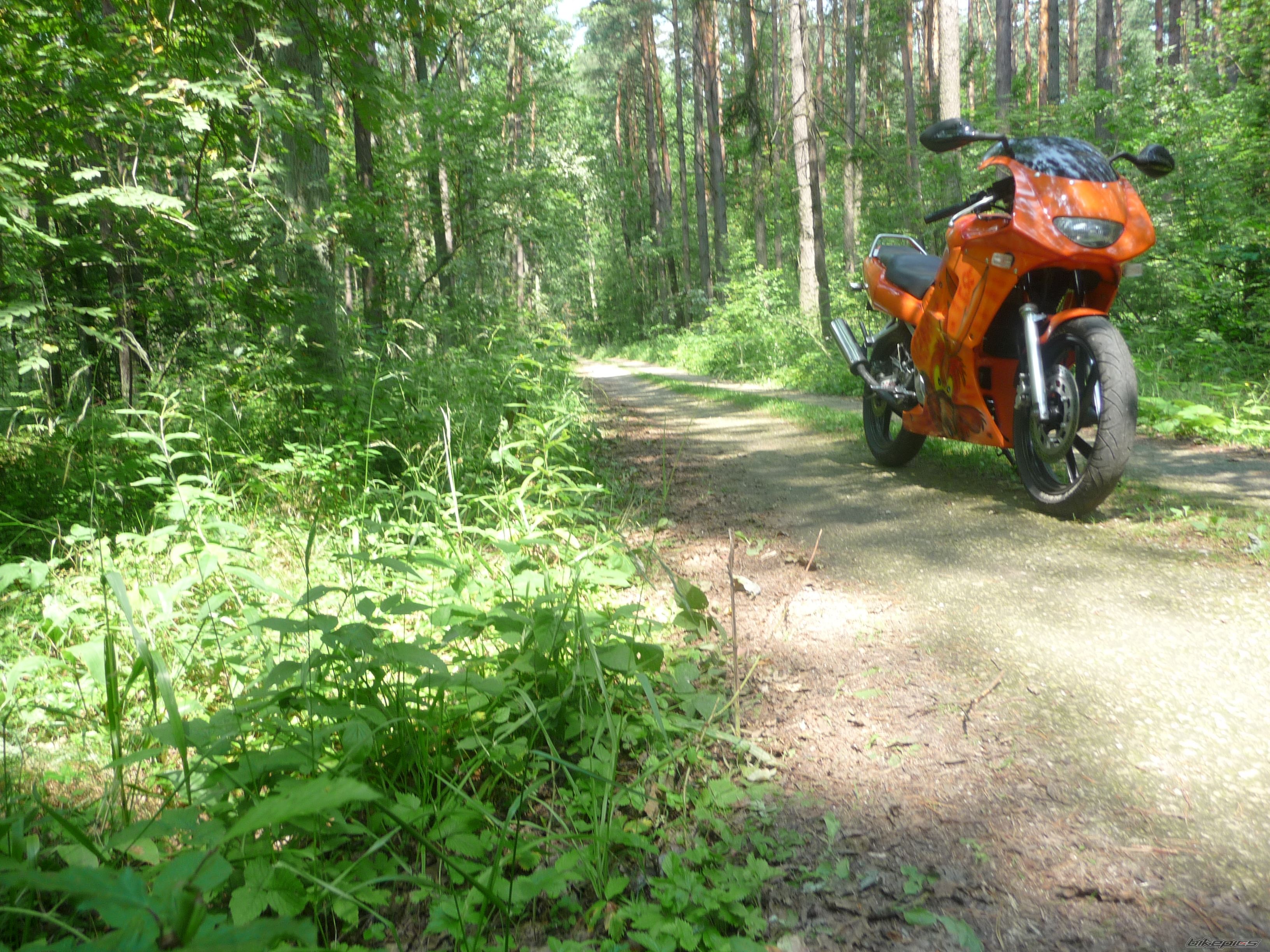 Photo 2584270