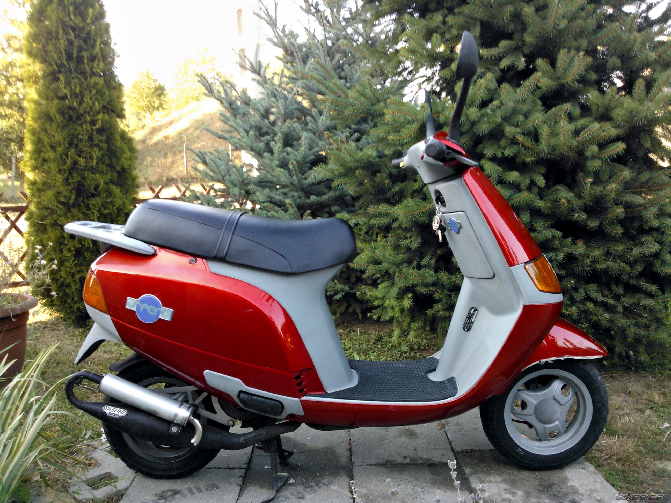 Photo 2584282
