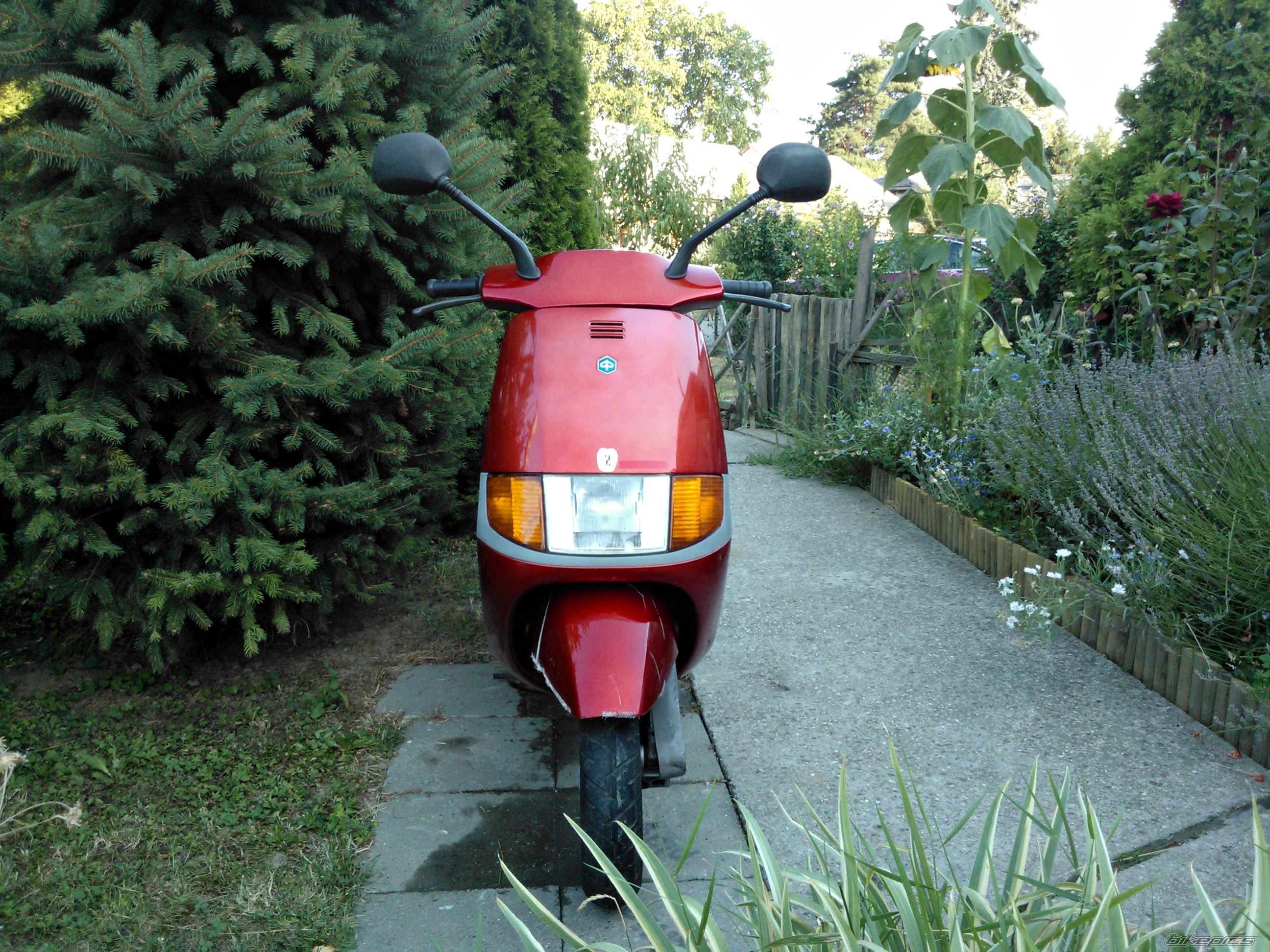 Photo 2584288